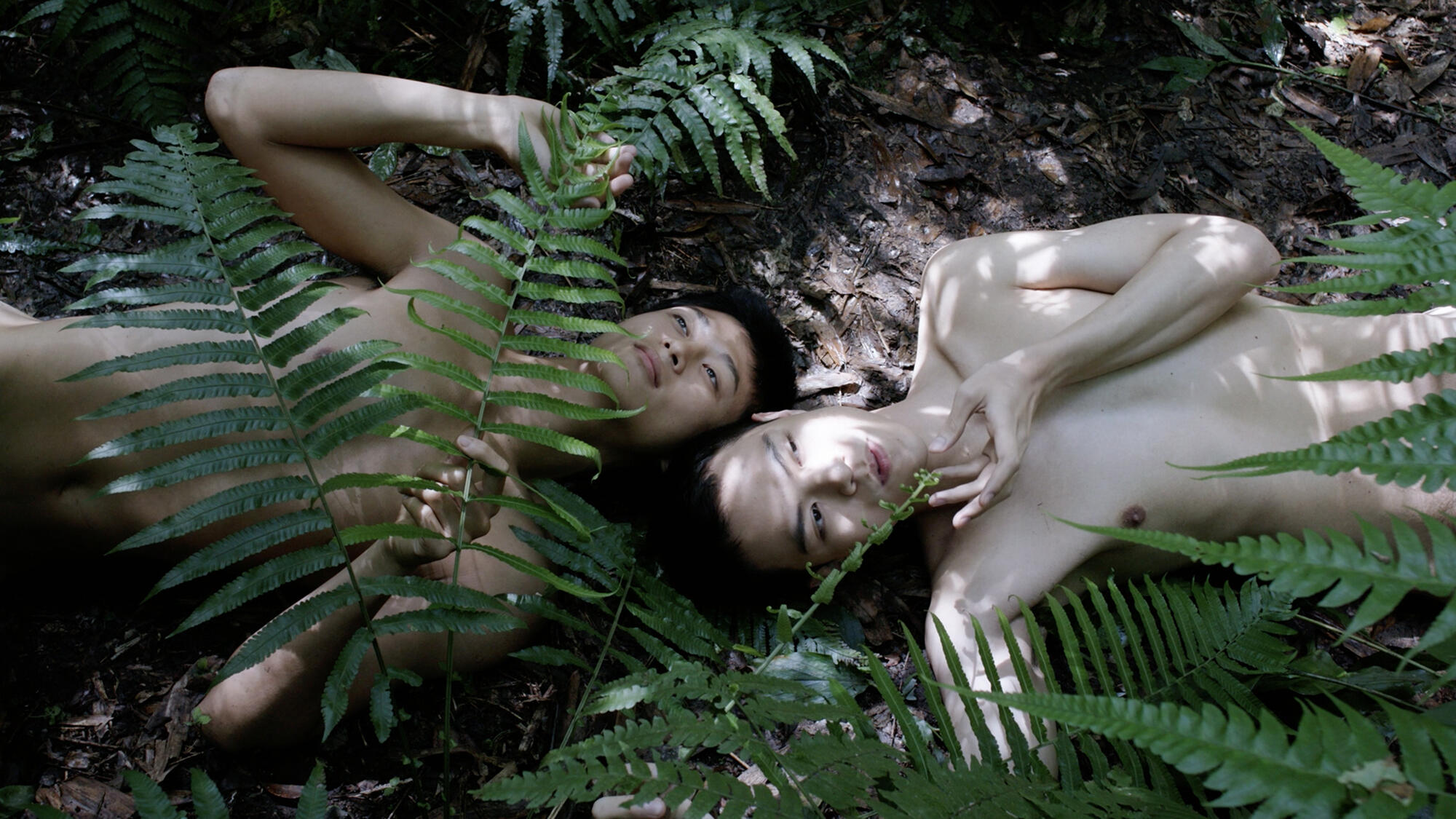 Sex Now, Ausstellung, Kunstausstellung, Düsseldorf, NRW Forum, Zheng Bo, Pteridophilia, Filmstill,Kiang Malingue Gallery