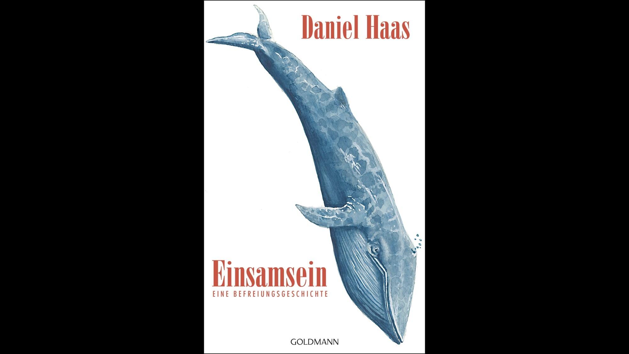 Daniel Haas, Einsamsein, Goldmann Verlag, Roman