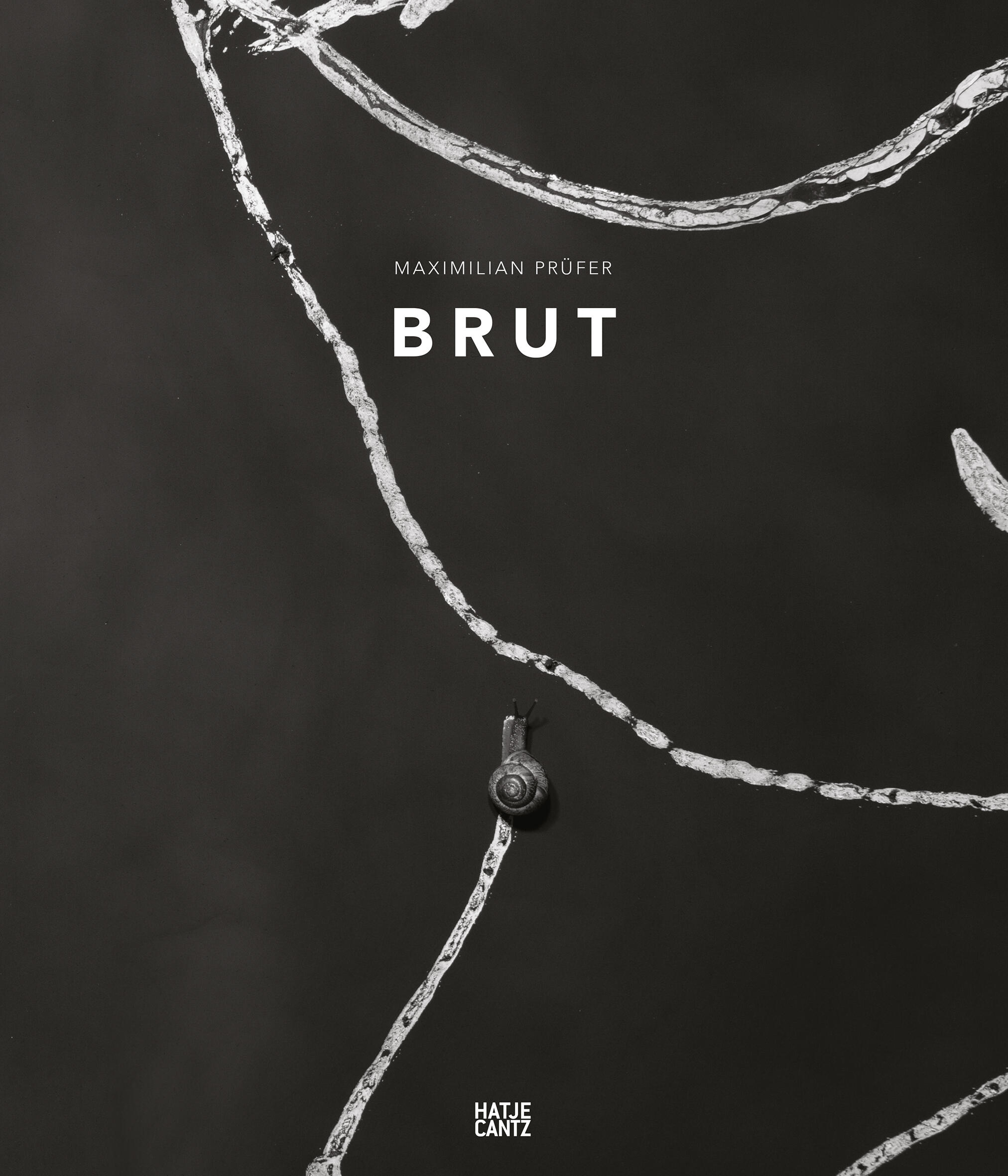 maximilian pruefer brut, claire breukel, markus gabriel, roman grabner, kunstbuch bildband fotobuch