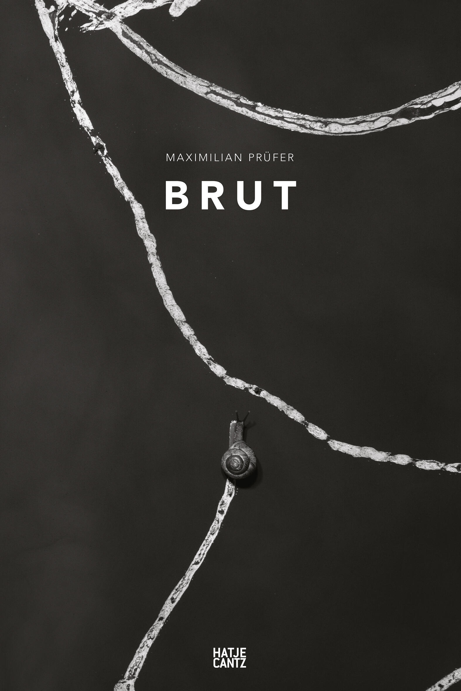 maximilian pruefer brut, claire breukel, markus gabriel, roman grabner, kunstbuch bildband fotobuch