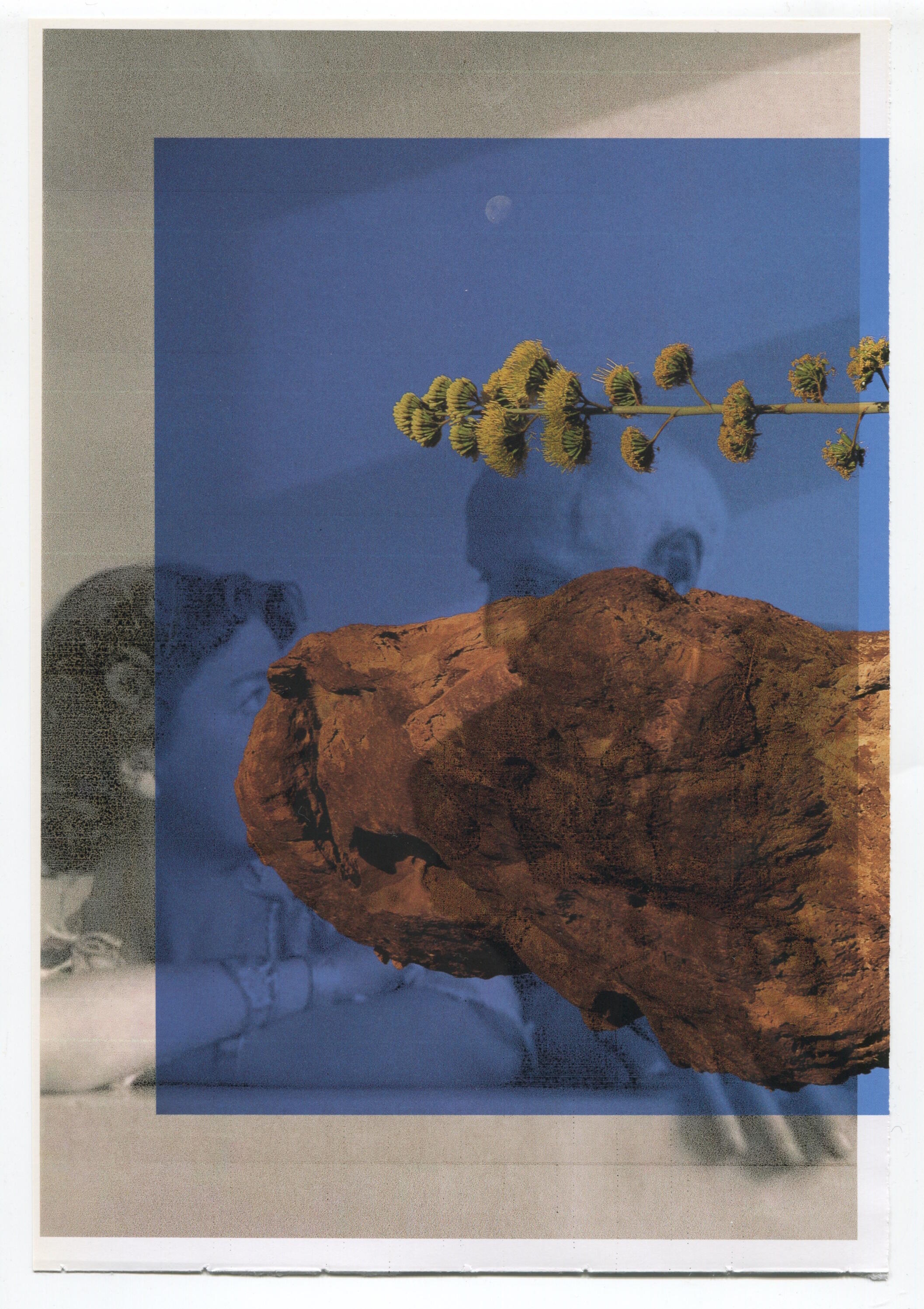 Marion Verboom, Loplop, Christoph Westermeier, Sedona Vogel, Ausstellung, Kunstausstellung, Brühl, Max Ernst Museum, Frauke Dannert, VG Bild-Kunst, Christoph Westermeier, Installationsansicht