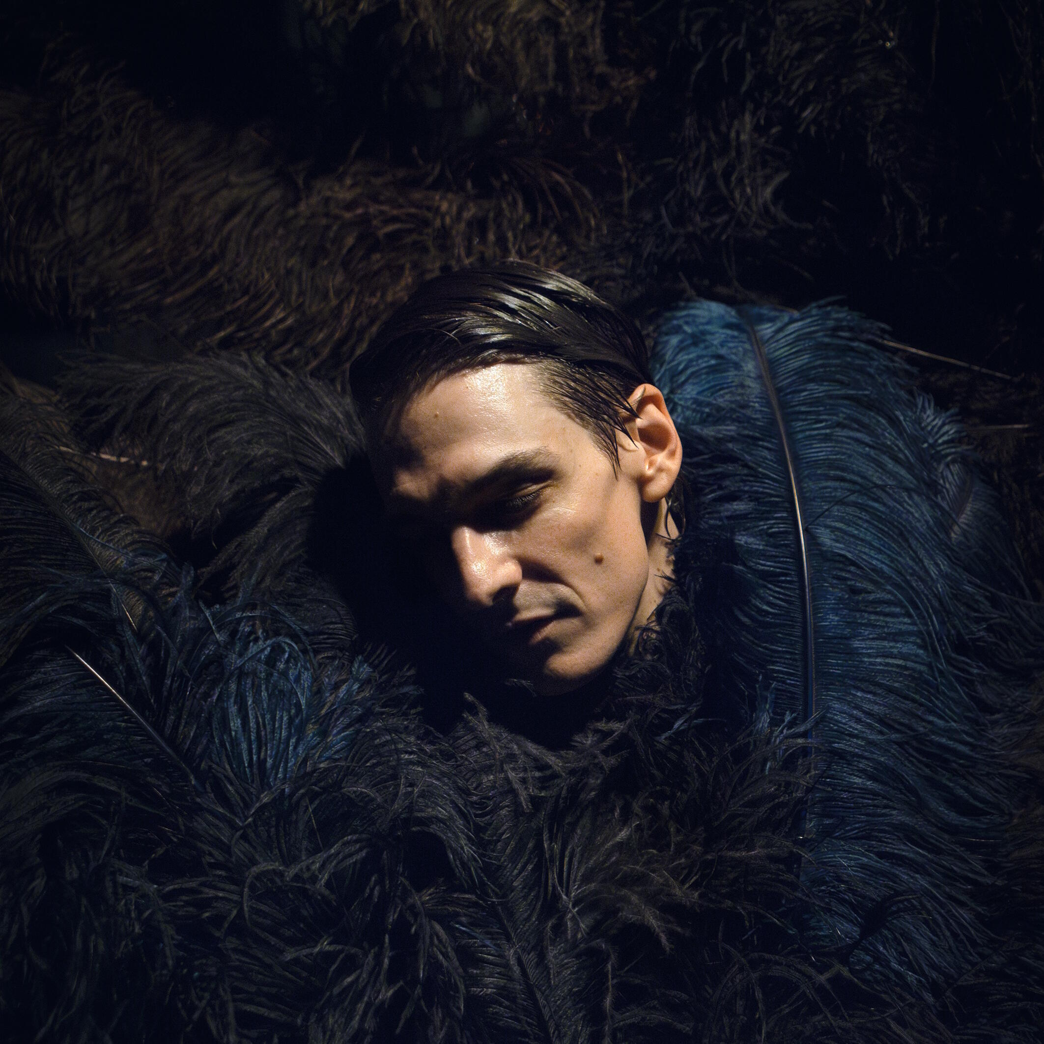 9. Internationales Bonner Tanzsolofestival, Tanzfestival, Tanz, Festival, Bonn, Bundeskunsthalle, Tanzgenerator Bonn, Theater im Ballsaal, BLUE ROSES, Thibault Lac, Florian Hetz