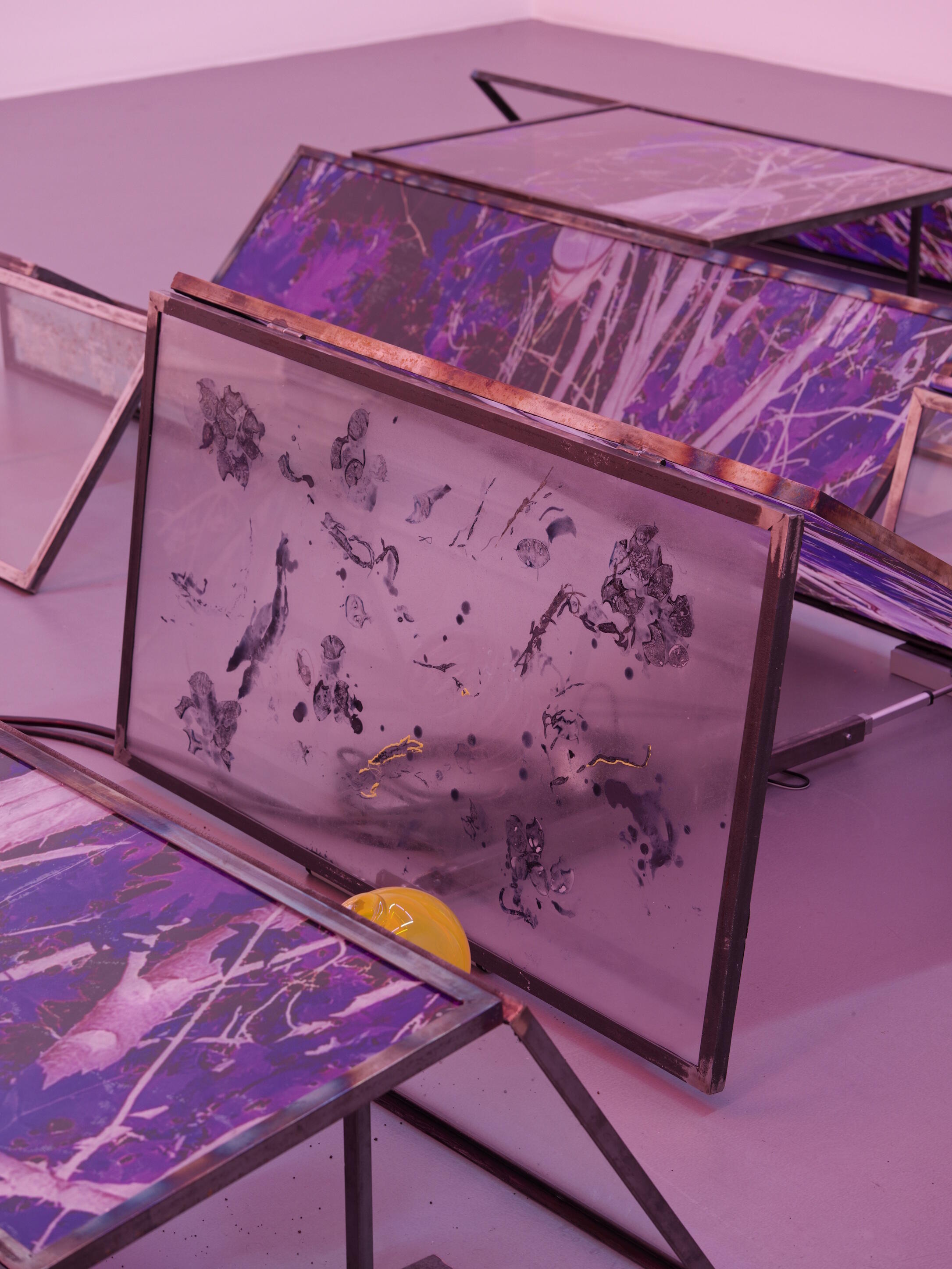 Euridice Zaituna Kala, Daylighting, Ausstellung, Kunstausstellung, Münster, Kunsthalle Münster, Eutrophê: the wave, Installationsansicht, La Criée centre d'art contemporain, Aurélien Mole