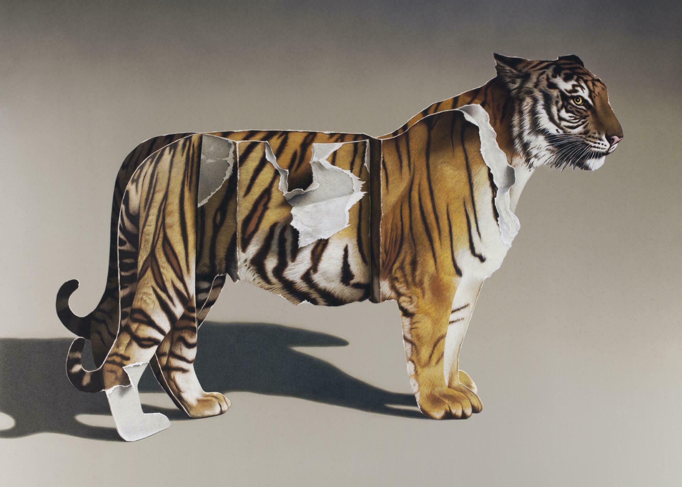 Eckart Hahn: Papiertiger, Ausstellung, Kunstausstellung, Bergisch Gladbach, Villa Zanders, Papiertiger, VG Bild-Kunst, Privatsammlung Tübingen