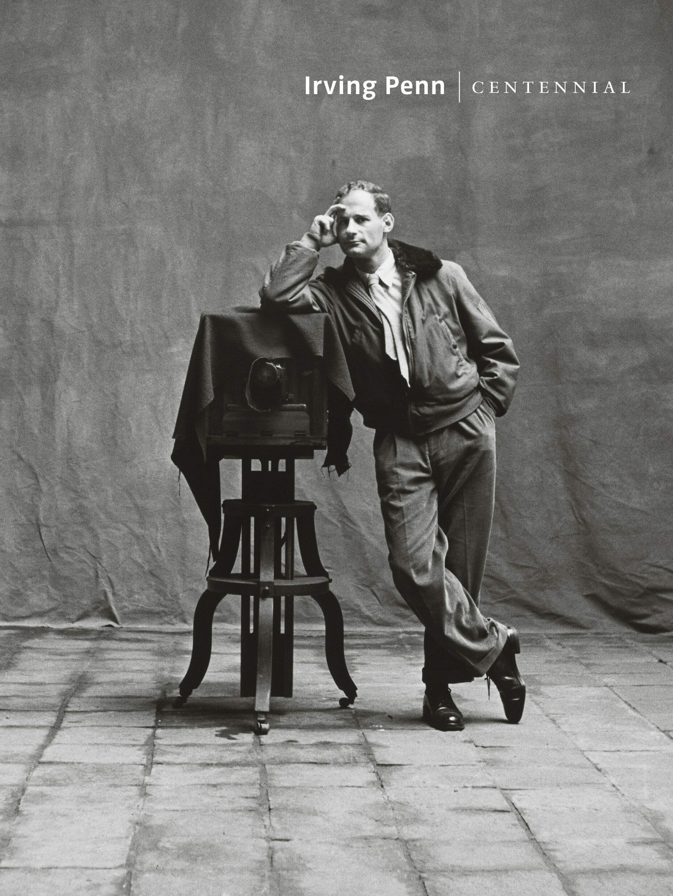 irving penn centennial, maria morris hambourg, jeff l. rosenheim, kunstbuch bildband fotobuch