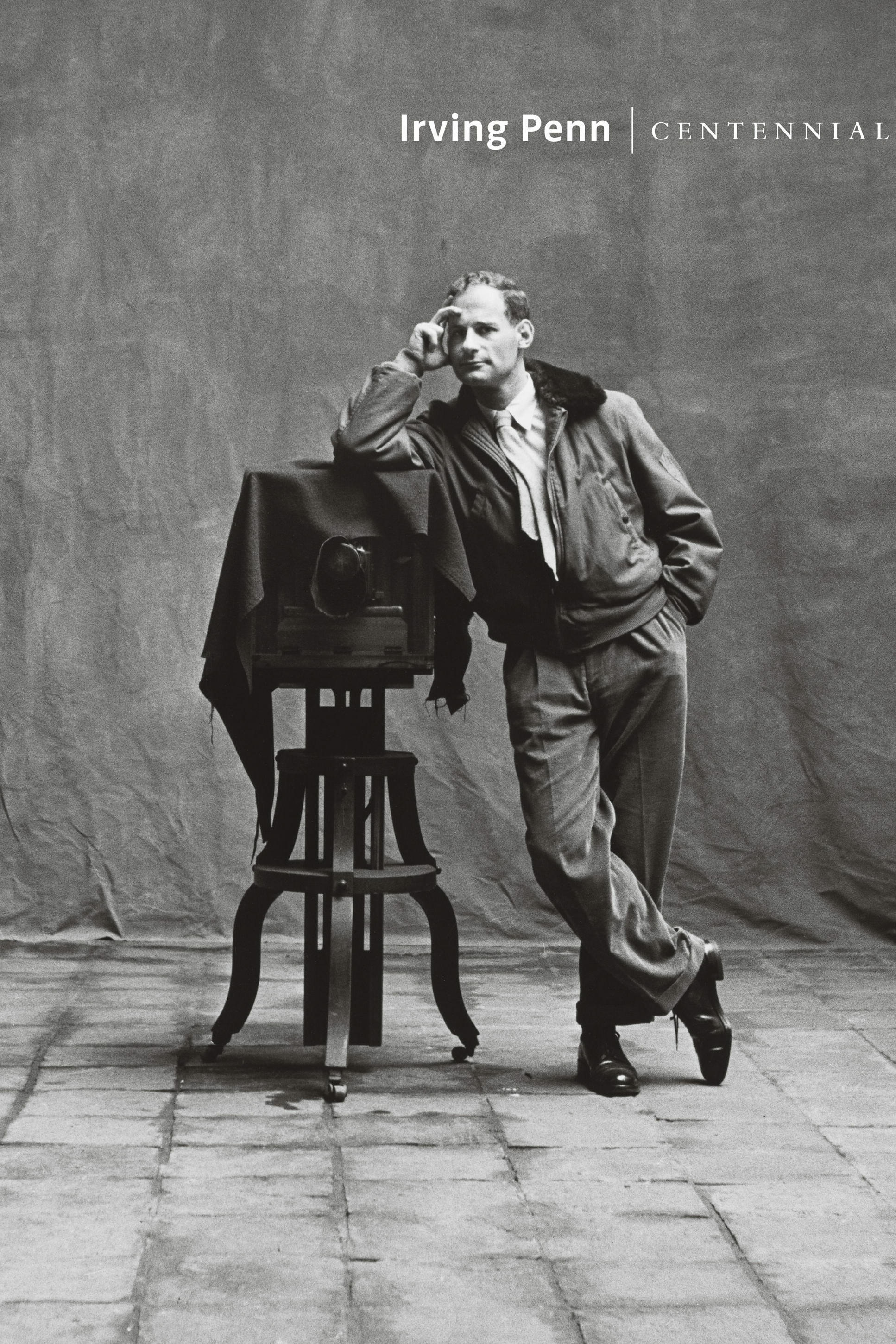 irving penn centennial, maria morris hambourg, jeff l. rosenheim, kunstbuch bildband fotobuch