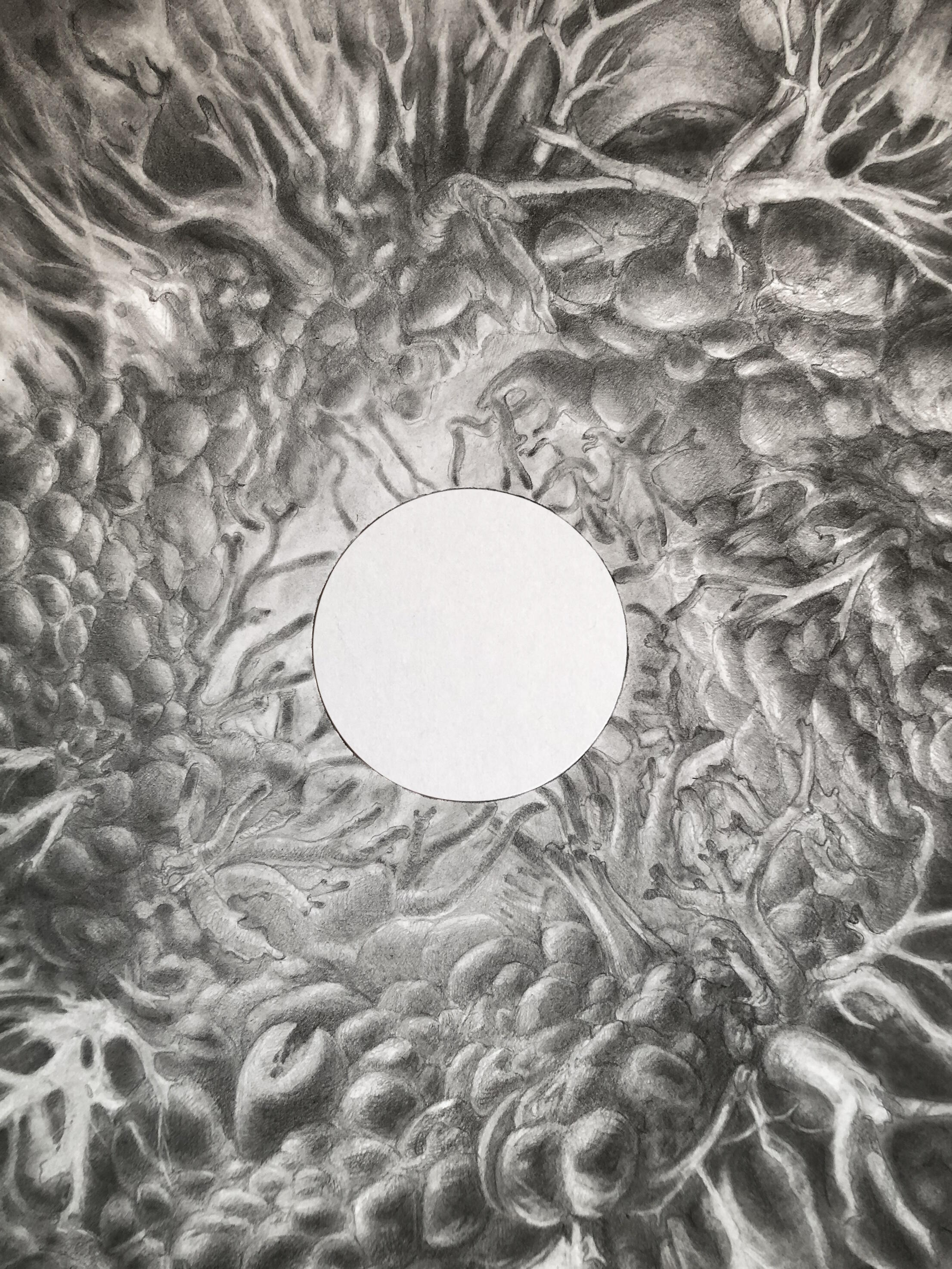 Wer könnte der Sonne widersprechen?, Ausstellung, Kunstausstellung, Düsseldorf, Brunhilde Moll Stiftung, Daniel Nehring, Korallen, VG Bild-Kunst