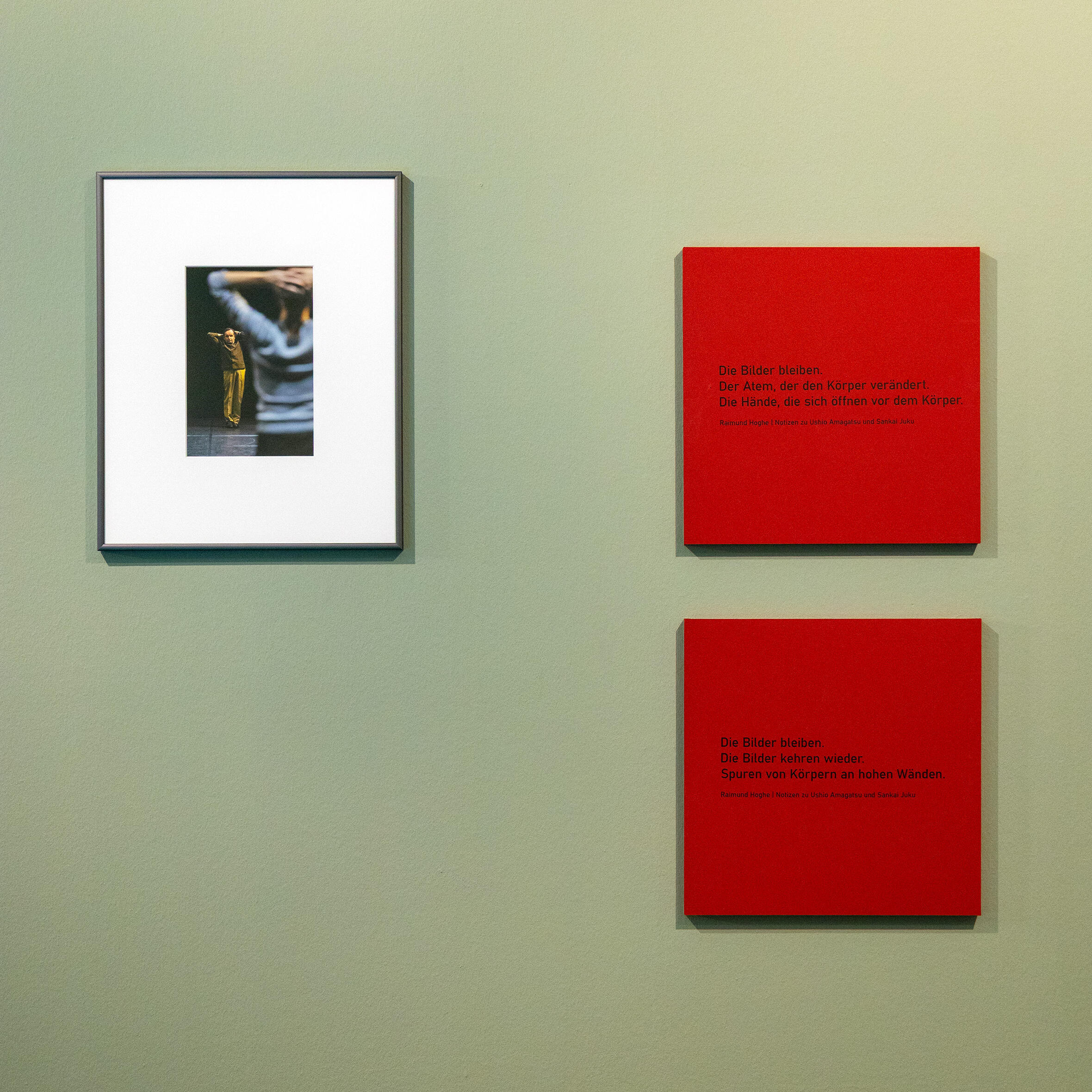 INSCRIT – Schreiben mit dem Körper, Ausstellung, Kunstausstellung, Köln, Deutsches Tanzarchiv, Raimund Hoghe, Rosa Frank, Ausstellungsansicht, Markus Hoffmann