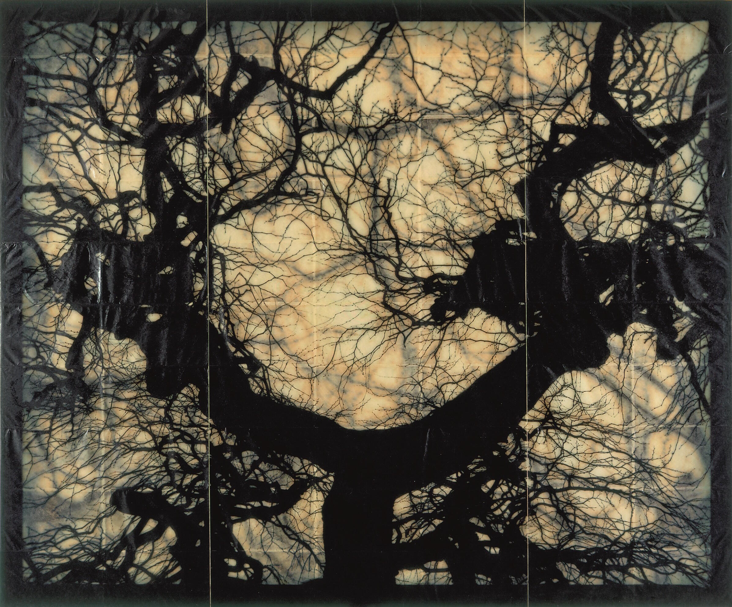 Verwurzelt und Verzweigt, Ausstellung, Kunstausstellung, Mettingen, Draiflessen Collection, Doug & Mike Starn, Structure of Thought #5, Stiftung Kunst und Natur gGmbH, Bad Heilbrunn, VG Bild-Kunst, 2025