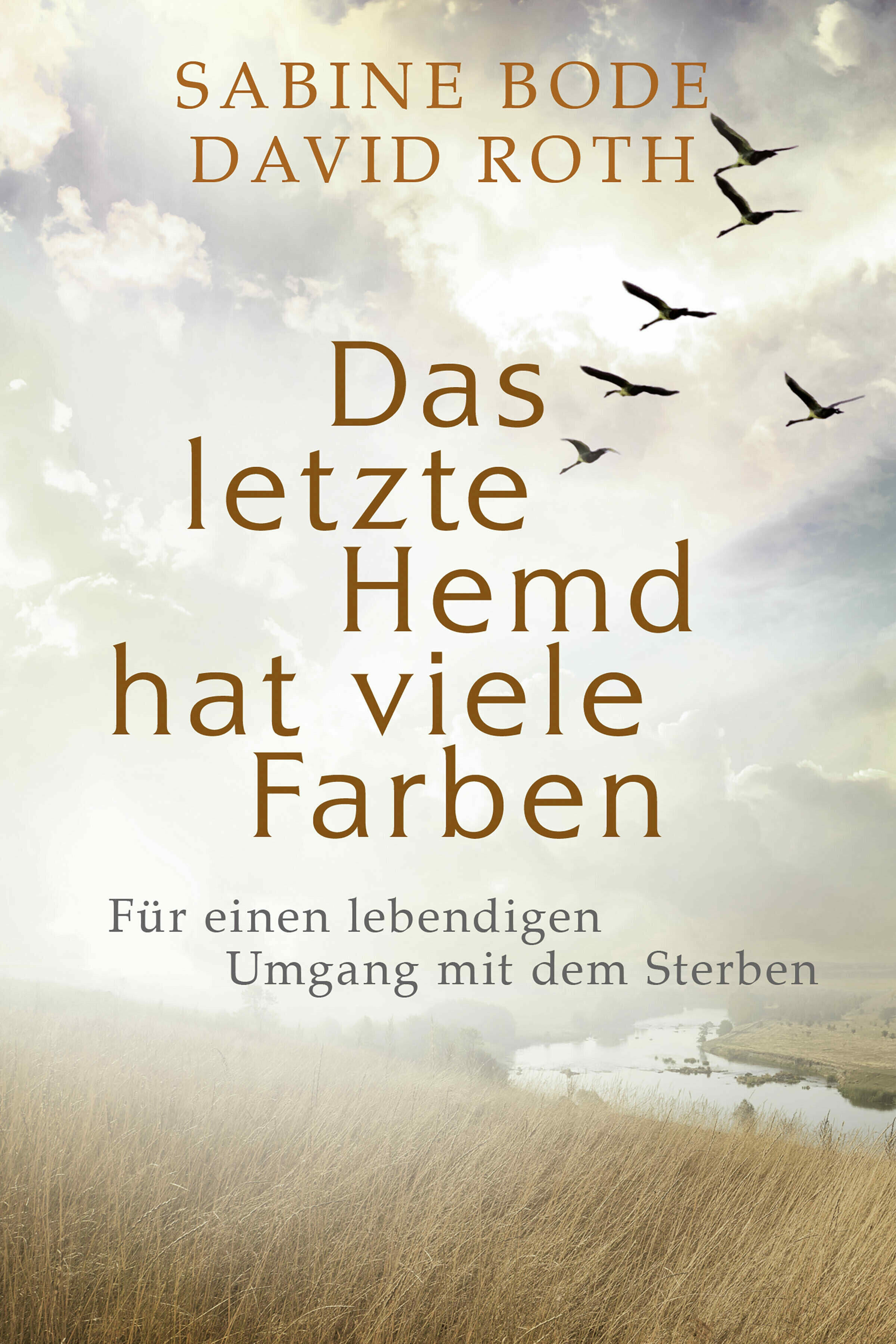 das letzte hemd hat viele Farben david roth sabine bode gesellschaft gesellschaftsentwicklung sterbekultur psychologie soziologie