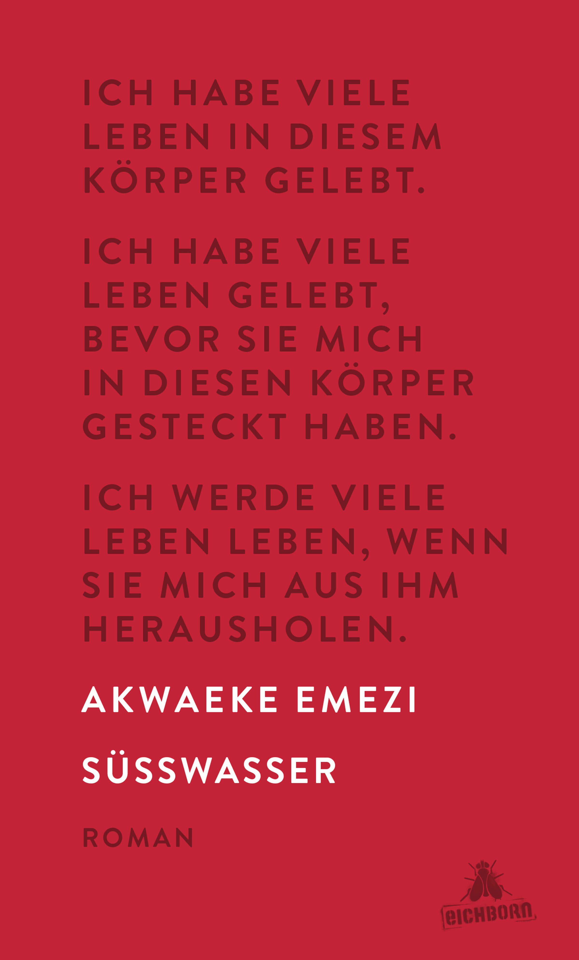 suesswasser, akwaeke emezi, roman, belletristik, literatur