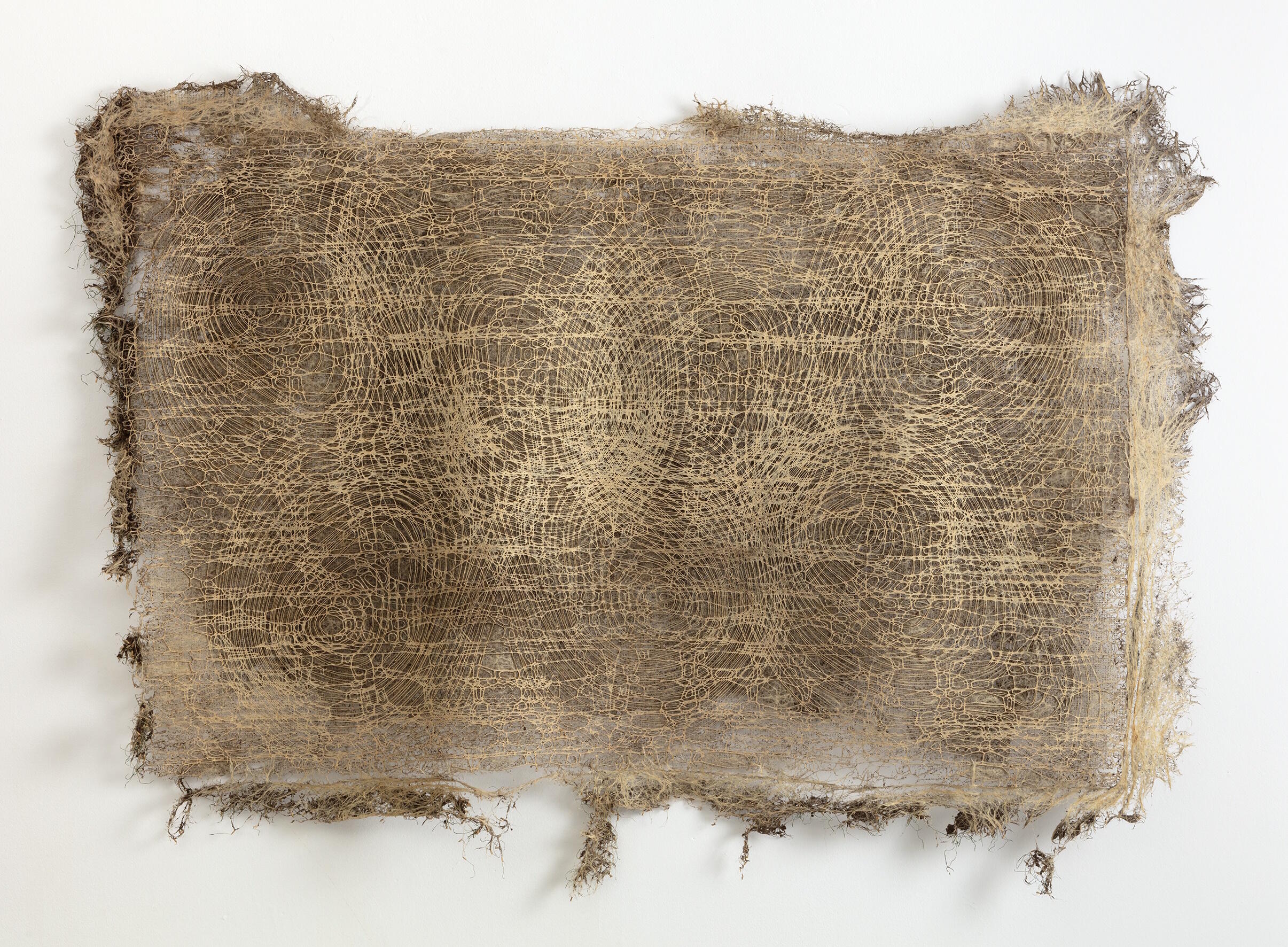 Verwurzelt und Verzweigt, Ausstellung, Kunstausstellung, Mettingen, Draiflessen Collection, Diana Scherer, Hyper Rhizome #15–3–2023, andriesse eyck galerie, Sjoerd Knibbler