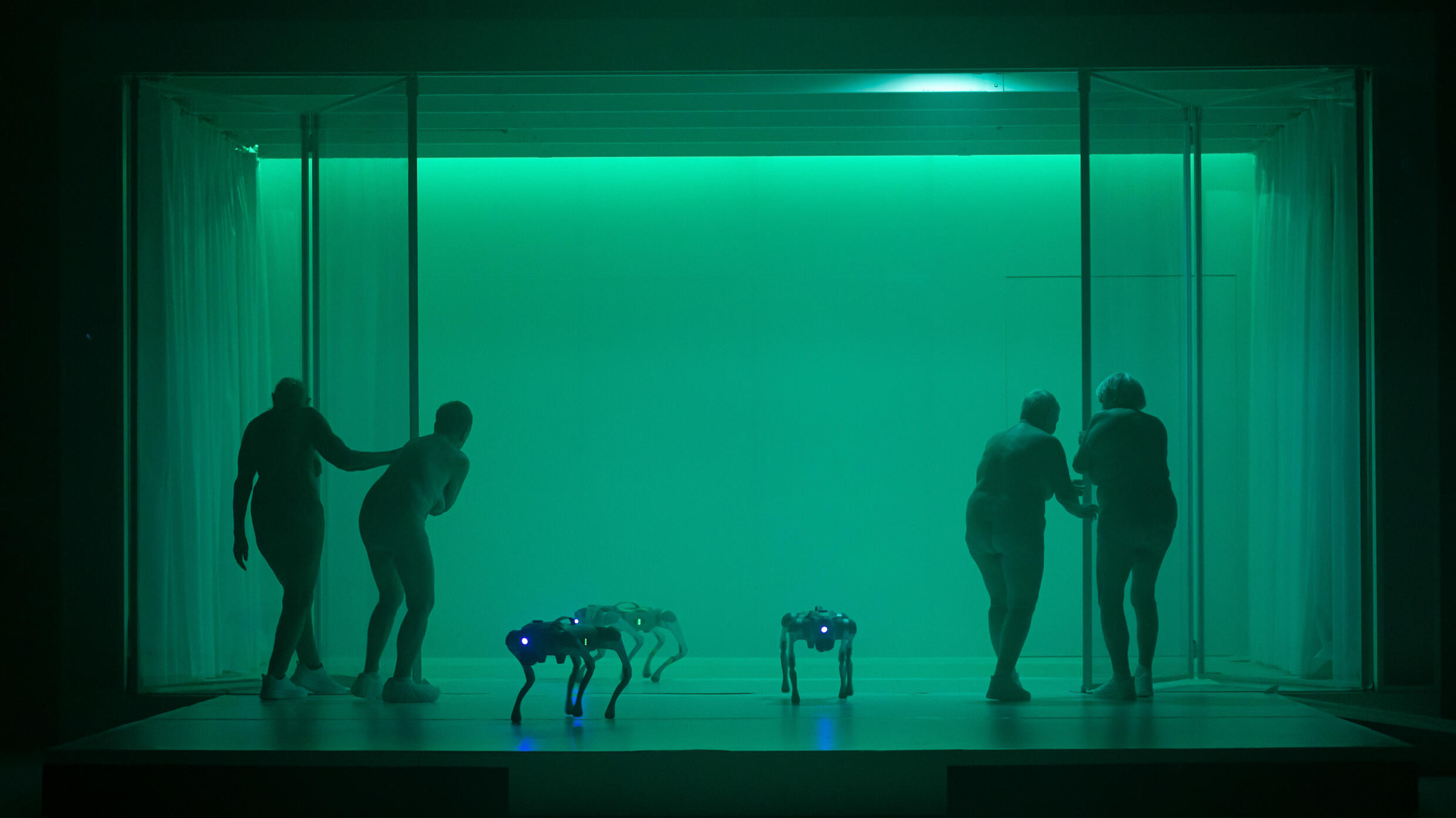 14. asphalt Festival, Festival, Kultur, Düsseldorf, Theater, Tanz, Musik, Literatur, Fotokunst, A Year without Summer, Mayra Wallraff, Florentina Holzinger
