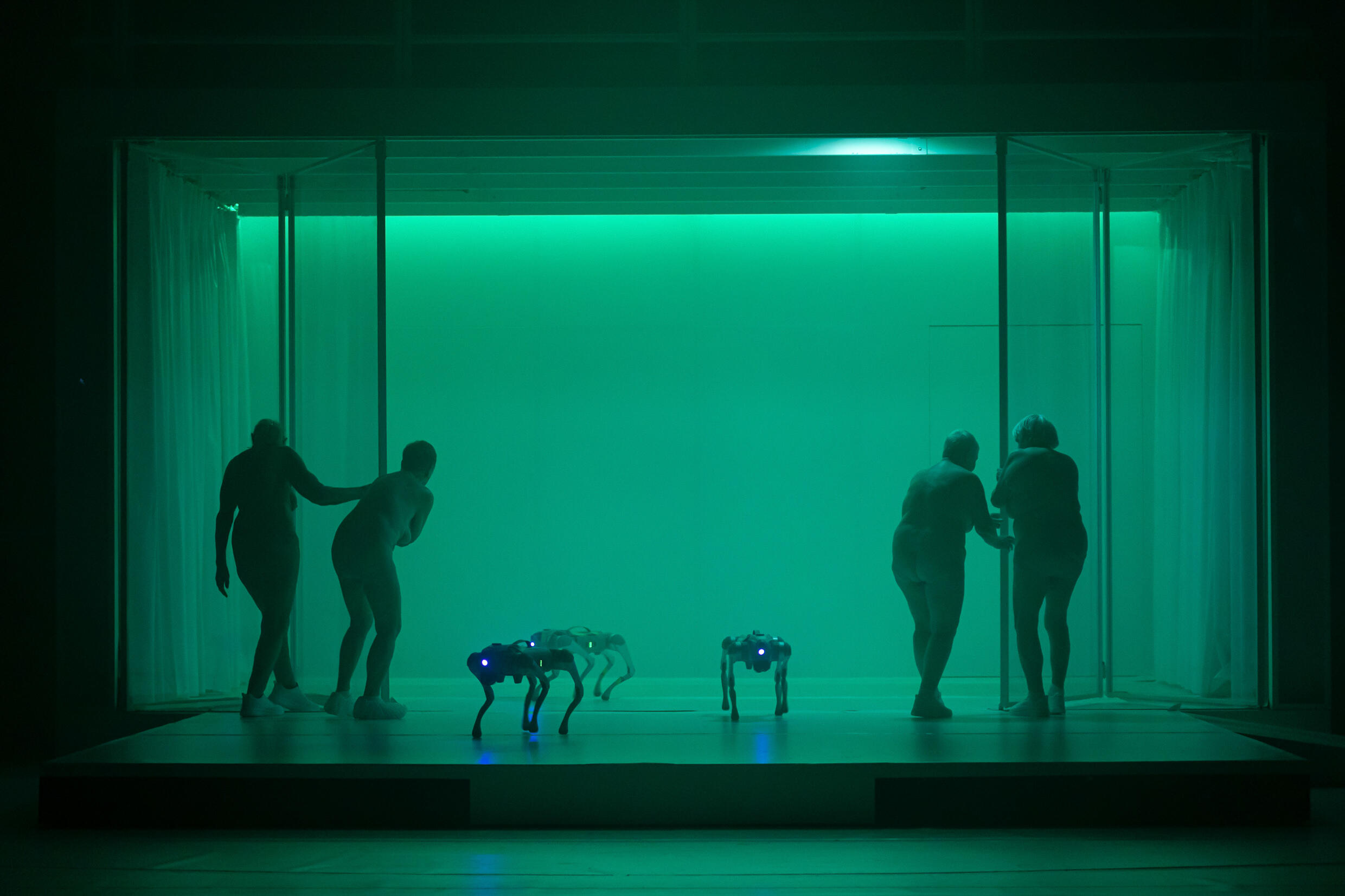 14. asphalt Festival, Festival, Kultur, Düsseldorf, Theater, Tanz, Musik, Literatur, Fotokunst, A Year without Summer, Mayra Wallraff, Florentina Holzinger