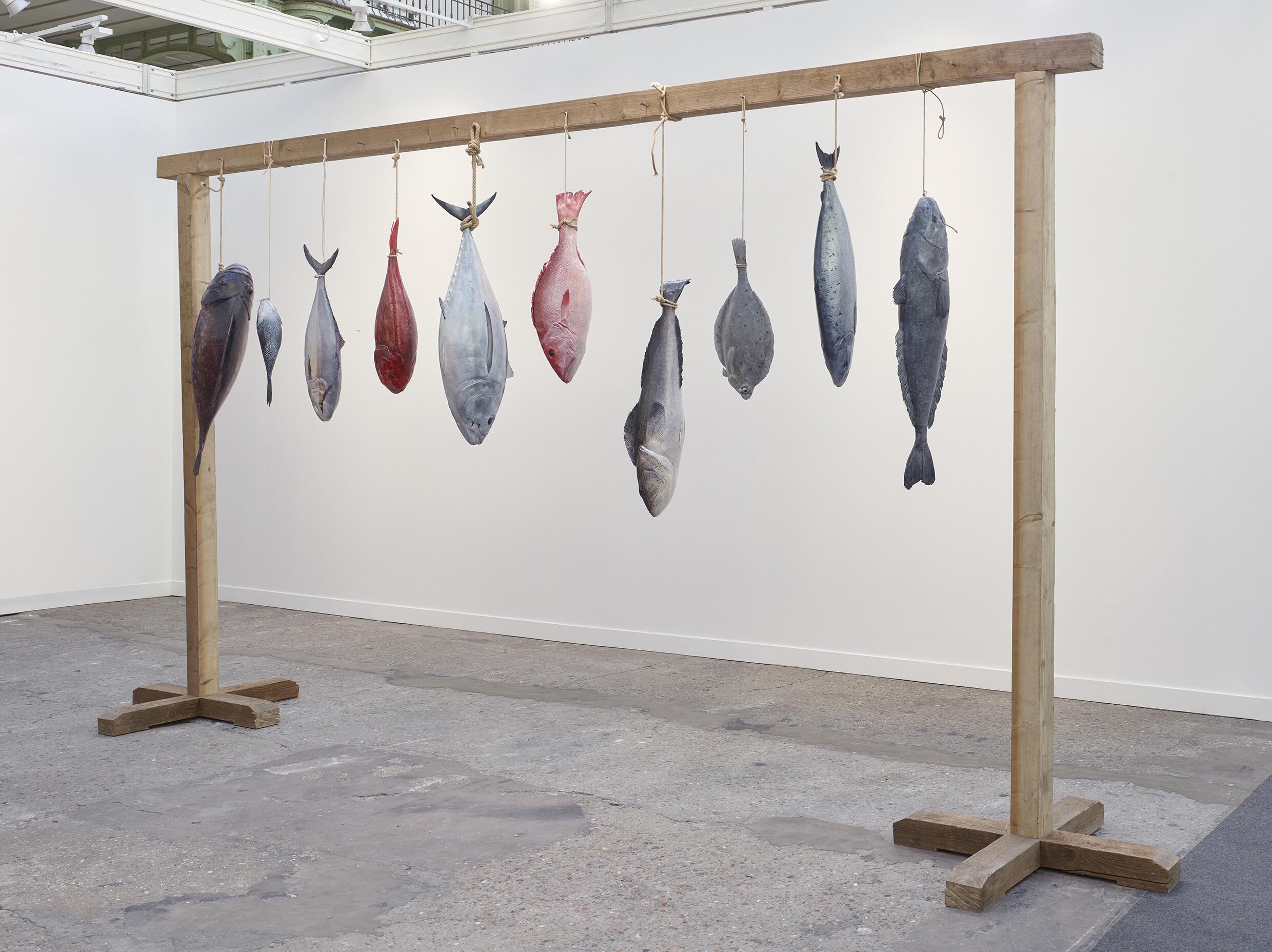 Expedition Weltmeere, Ausstellung, Kunstausstellung, Bonn, Bundeskunsthalle, Mark Dion, The Fisheries, Simon Vogel, Galerie Nagel Draxler Berlin, Köln, Meseberg