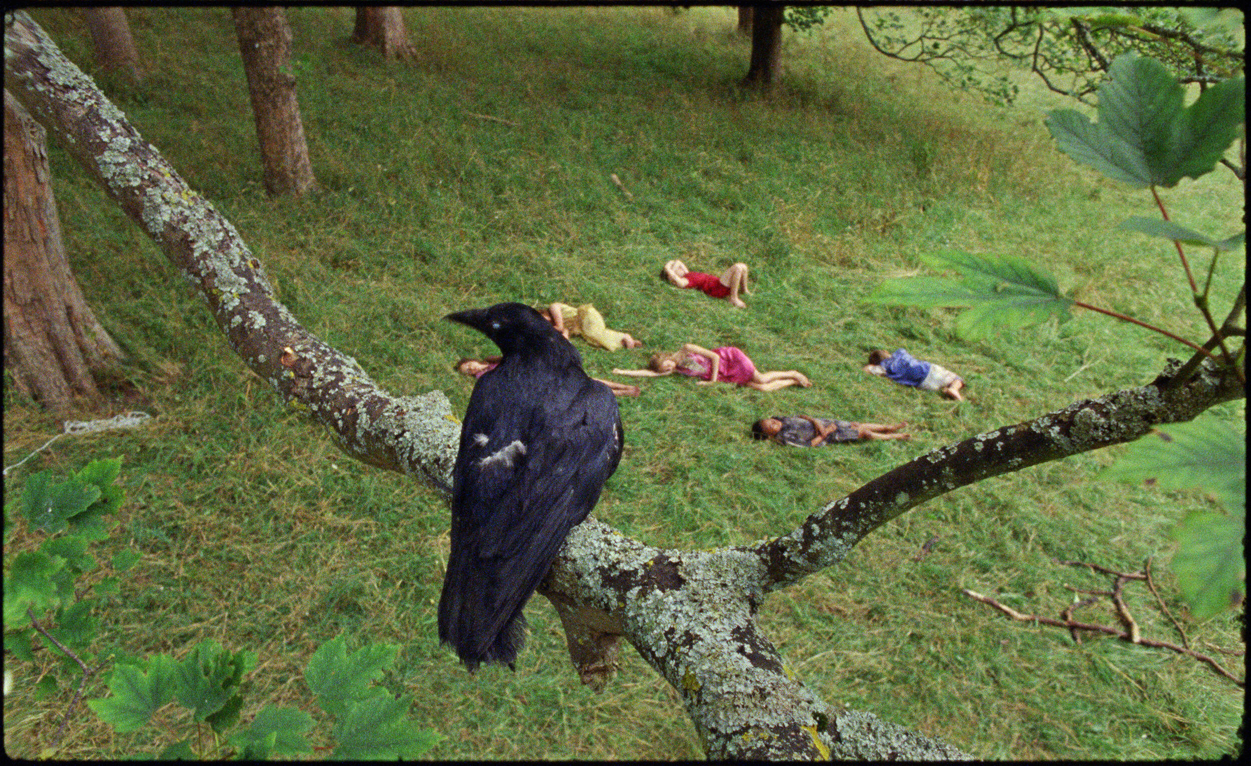 Für die Vögel, Ausstellung, Kunstausstellung, Siegen, MGK Siegen, Marianna Simnett, The Bird Game, Filmstill, Société Berlin, FVU, the Rothschild Foundation, Franz Hals Museum