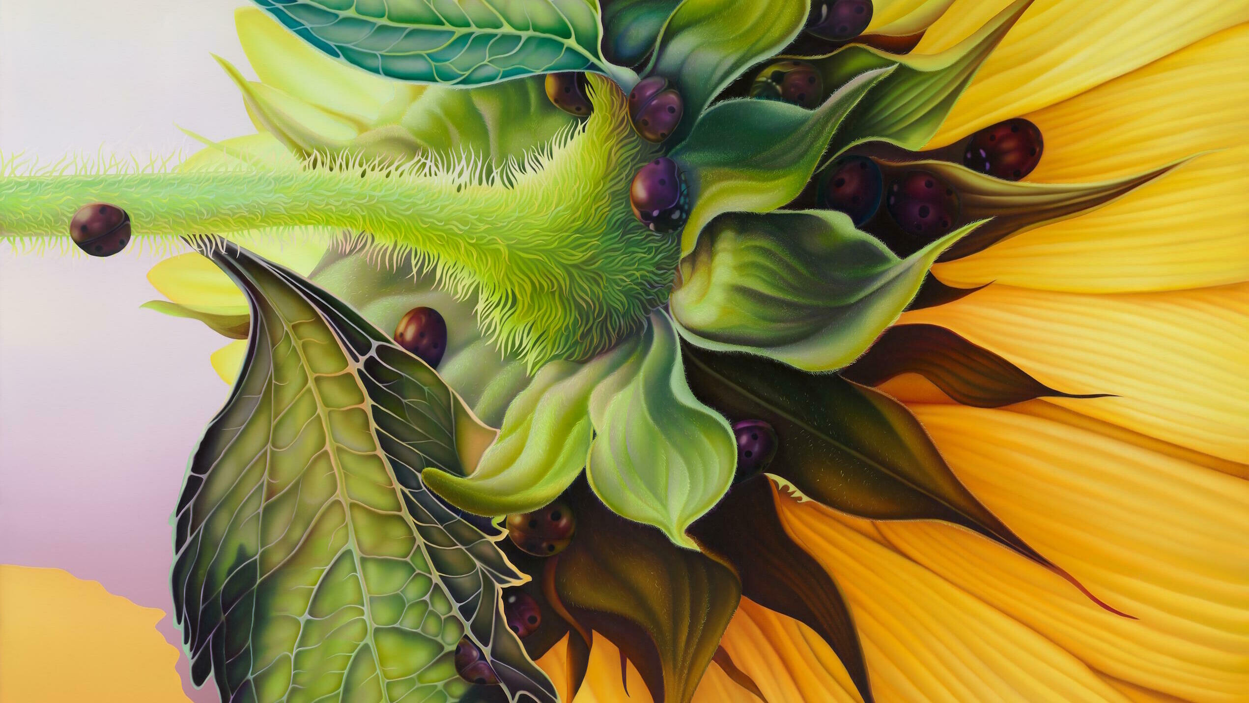 Melanie Loureiro, Die Verbundenheit der Kreaturen, Ausstellung, Kunstausstellung Düsseldorf, KIT, Kunst im Tunnel, Seven Dots of Plenty, Ivo Faber
