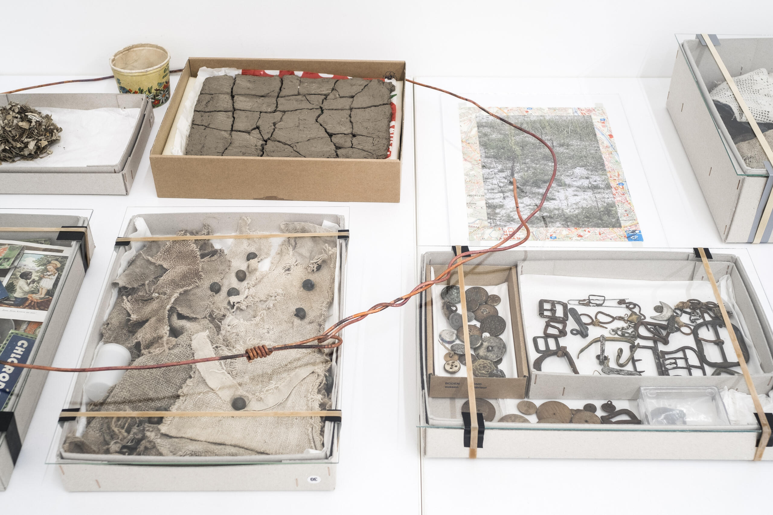 Kartographien des Wachstums, Ausstellung, Kunstausstellung, Herford, Marta Herford, Lois Weinberger, Katinka Bock, Debris Field, Installationsansicht documenta 14, Studio Lois Weinberger, Galerie Krinzinger, Mathias Völzke