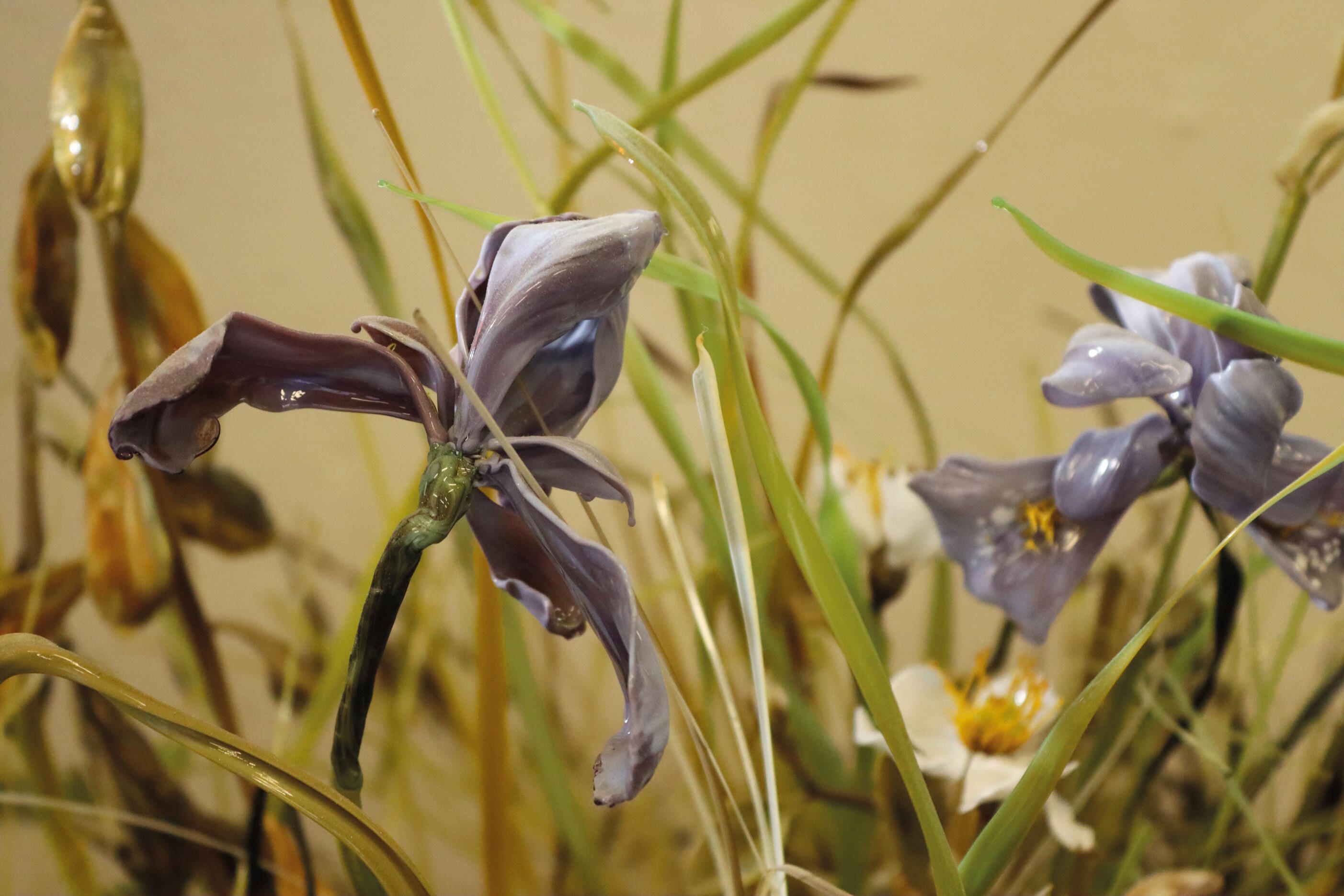 Ein Garten voller Blumen, Lilla Tabasso, Crispijn de Passe, Ausstellung, Kunstausstellung, Mettingen, Draiflessen Collection, Zolla Iris Detail, Julian Heitkamp