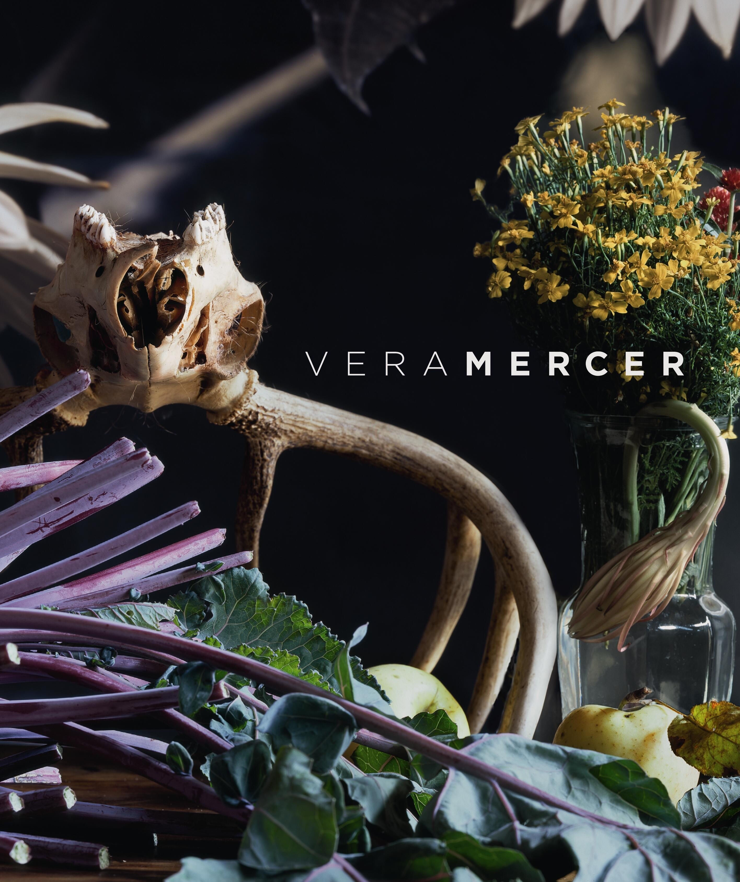 vera mercer photographs and still lifes, Matthias Harder, kunstbuch bildband fotobuch