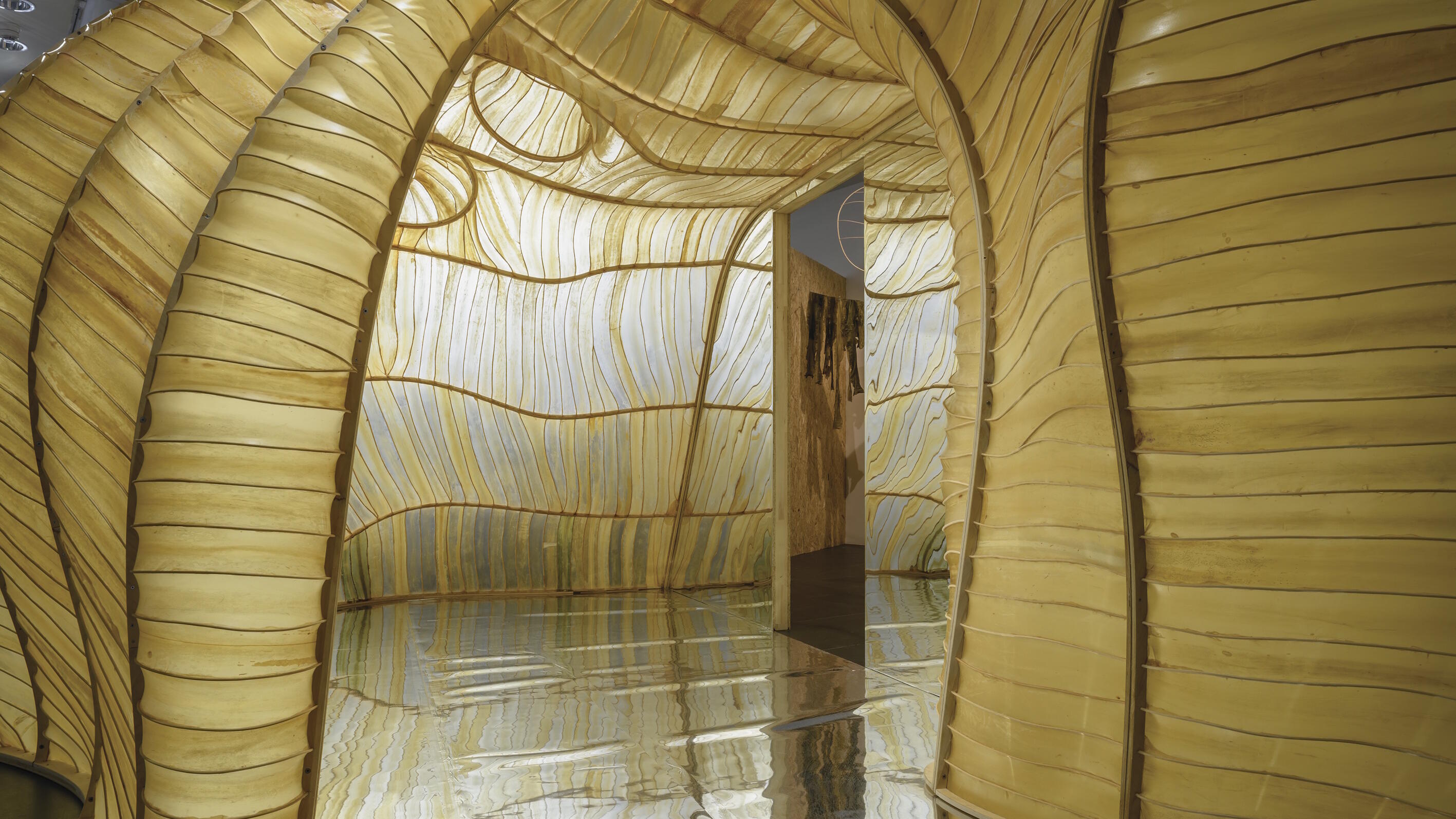 WEtransFORM, Ausstellung, Kunstausstellung, Nachhaltigkeit, Bundeskunsthalle, Bonn, Architektur, Julia Lohmann, Baltic Sea Lab, Norbert Miguletz, Frankfurter Kunstverein, Julia Lohmann Studio