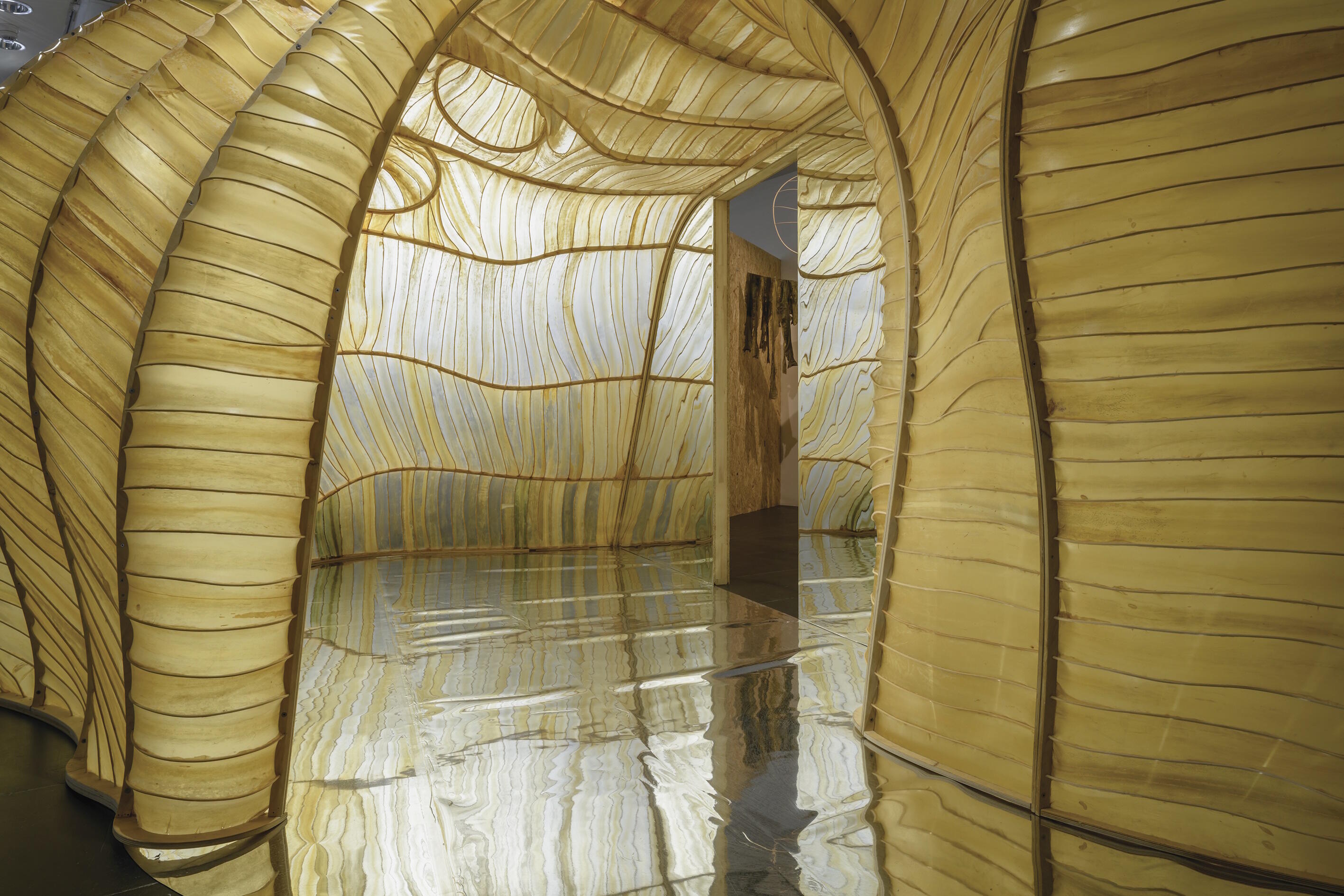 WEtransFORM, Ausstellung, Kunstausstellung, Nachhaltigkeit, Bundeskunsthalle, Bonn, Architektur, Julia Lohmann, Baltic Sea Lab, Norbert Miguletz, Frankfurter Kunstverein, Julia Lohmann Studio