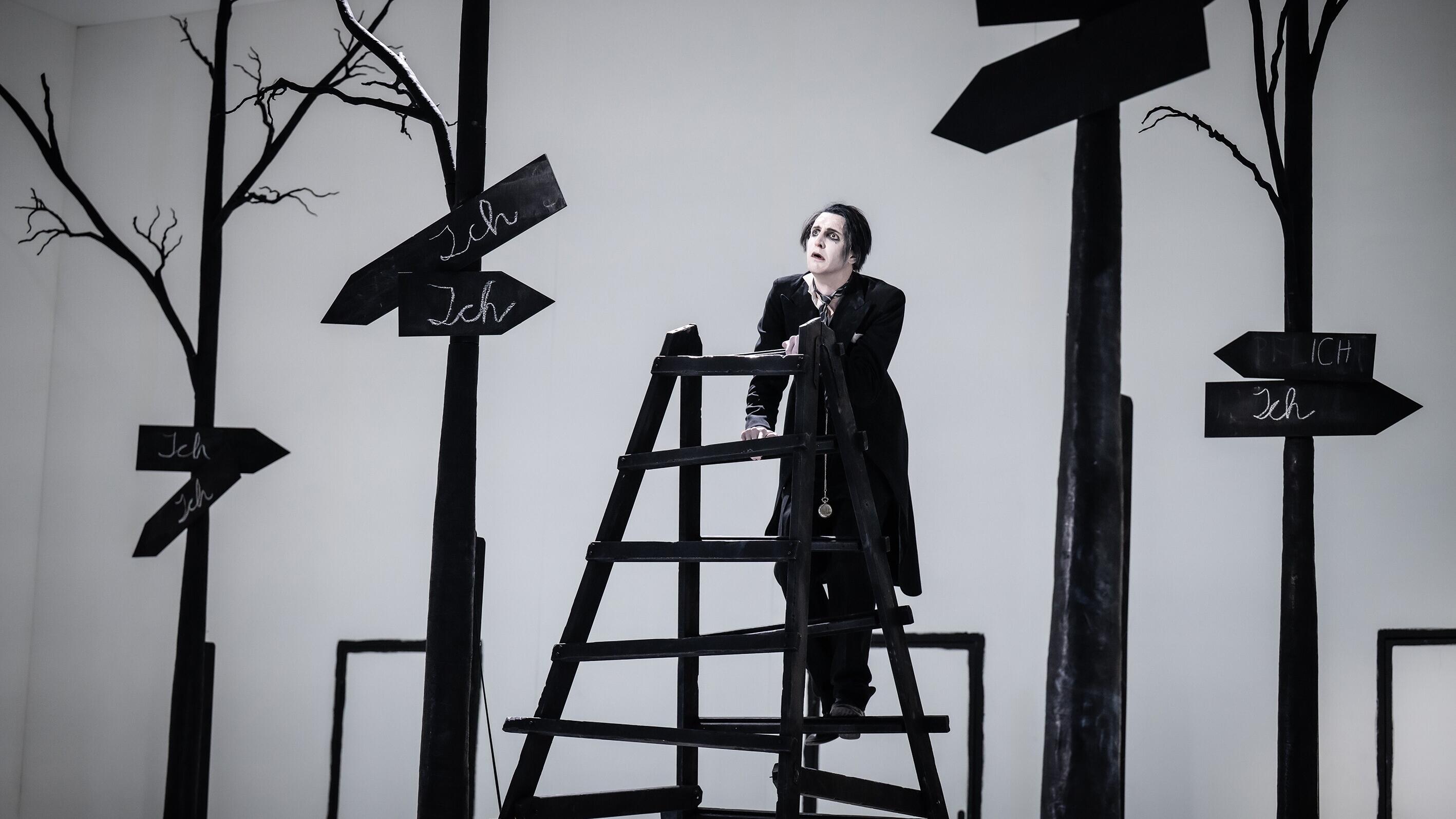 Kafkas Traum, Theater, Düsseldorf, Dhaus, Andreas Kriegenburg, Raphael Gehrmann, Sandra Then