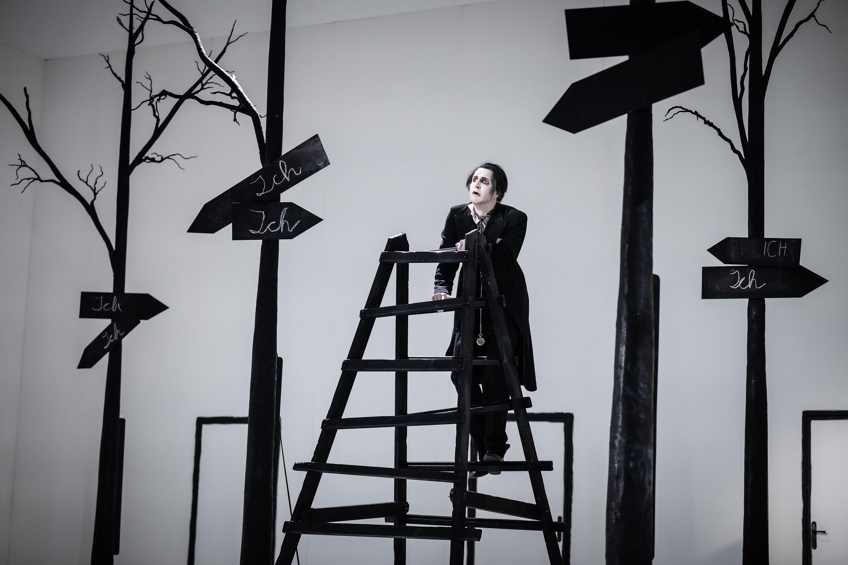 Kafkas Traum, Theater, Düsseldorf, Dhaus, Andreas Kriegenburg, Raphael Gehrmann, Sandra Then