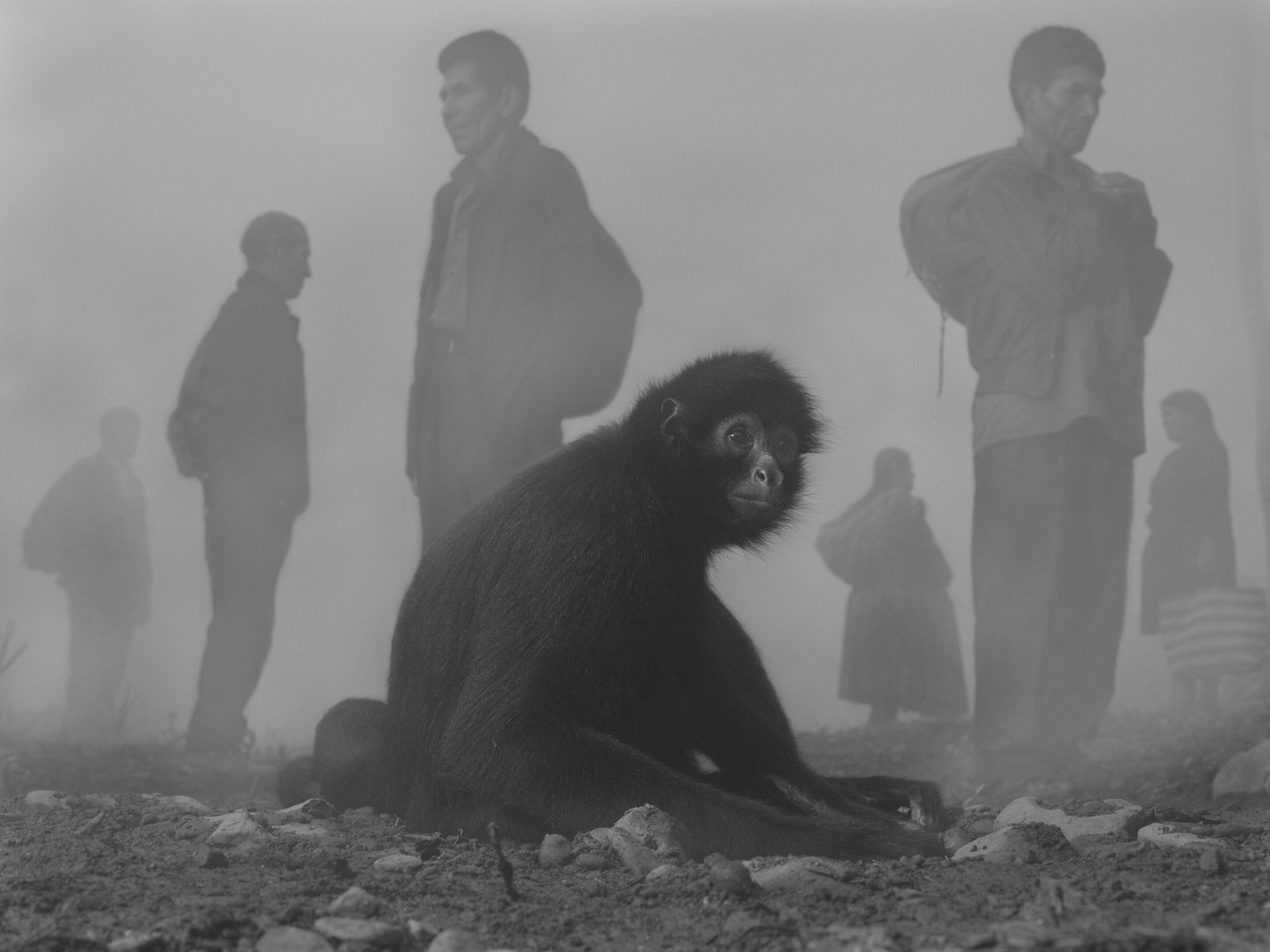 Nick Brandt, The Day May Break, Ausstellung, Kunstausstellung, Köln, in focus Galerie, Pimienta and People in Fog Bolivia