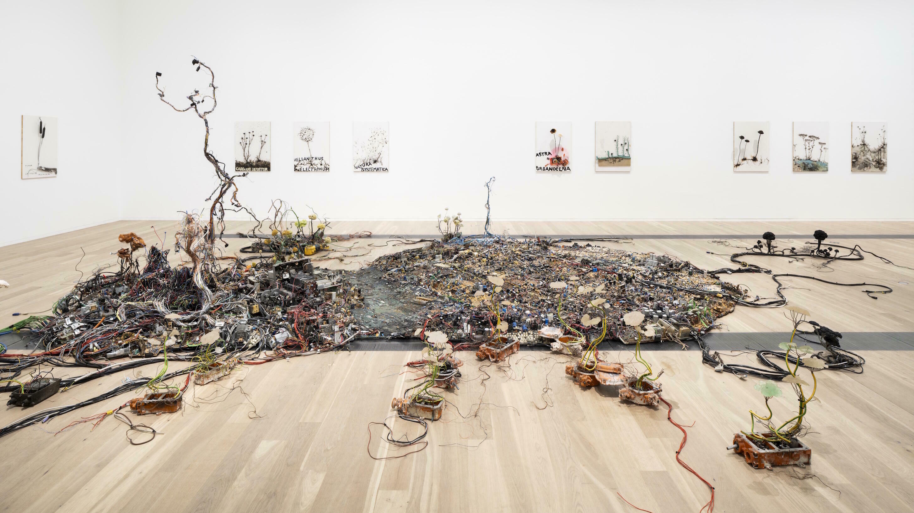 Verwurzelt und Verzweigt, Ausstellung, Kunstausstellung, Mettingen, Draiflessen Collection, Ausstellungsansicht, Peter Hübbe