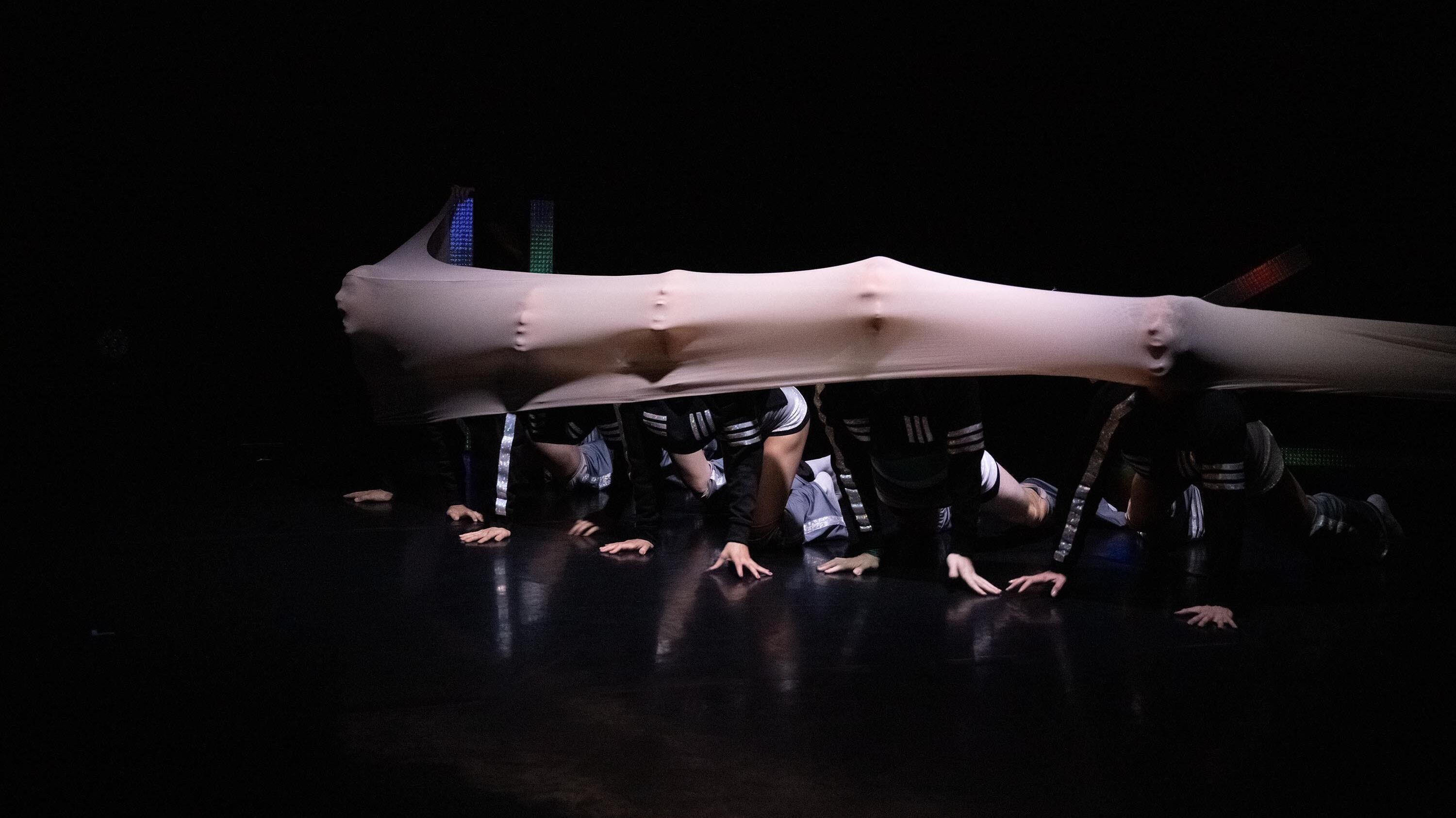 KRMG.tanz 3, Black Sheep, Sogni d’oro, Tanz, Mönchengladbach, Theater Mönchengladbach, Yuri Hamano, Alessandro Borghesani, Matthias Stutte