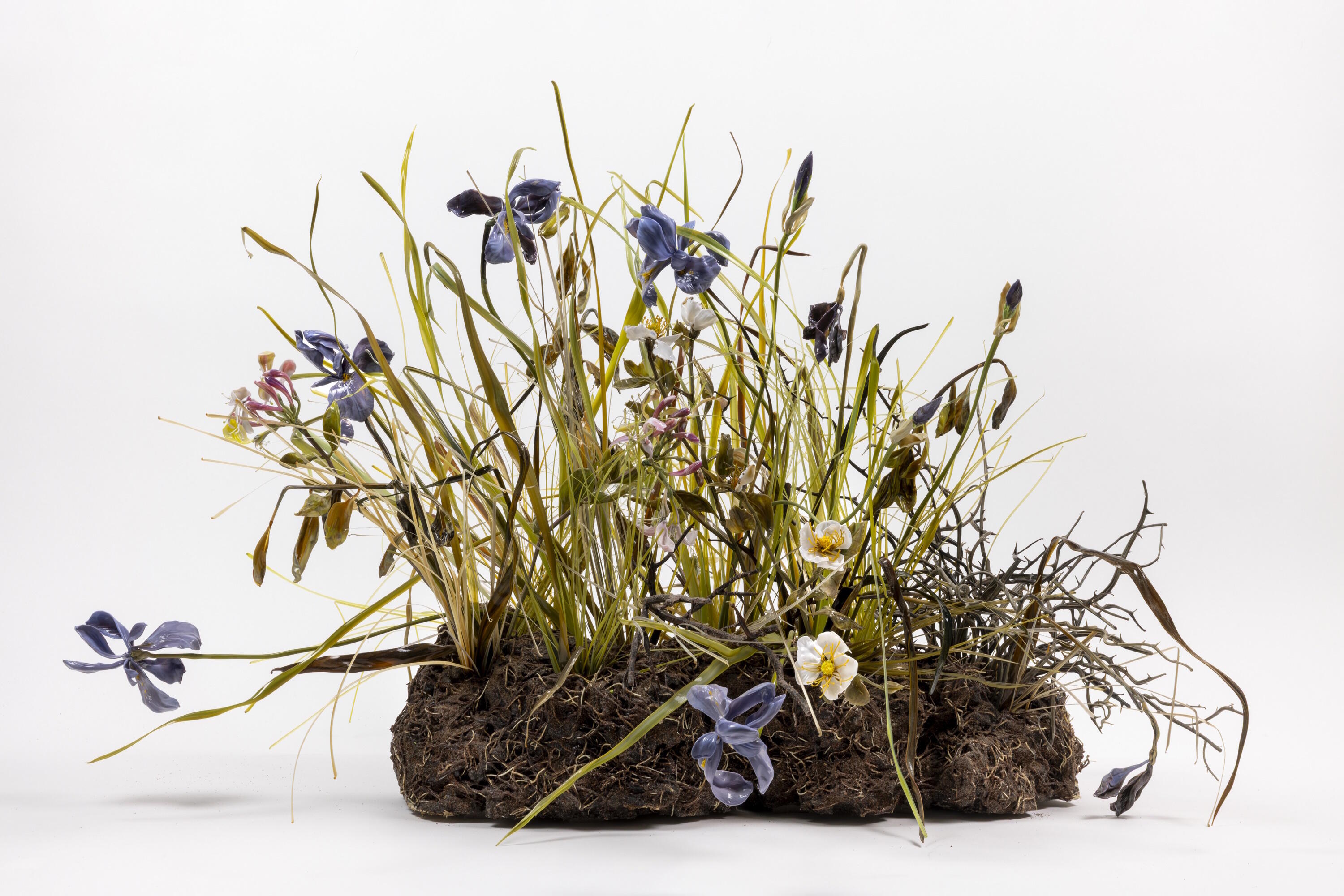 Ein Garten voller Blumen, Lilla Tabasso, Crispijn de Passe, Ausstellung, Kunstausstellung, Mettingen, Draiflessen Collection, La Grande Zolla, Roberto Marossi