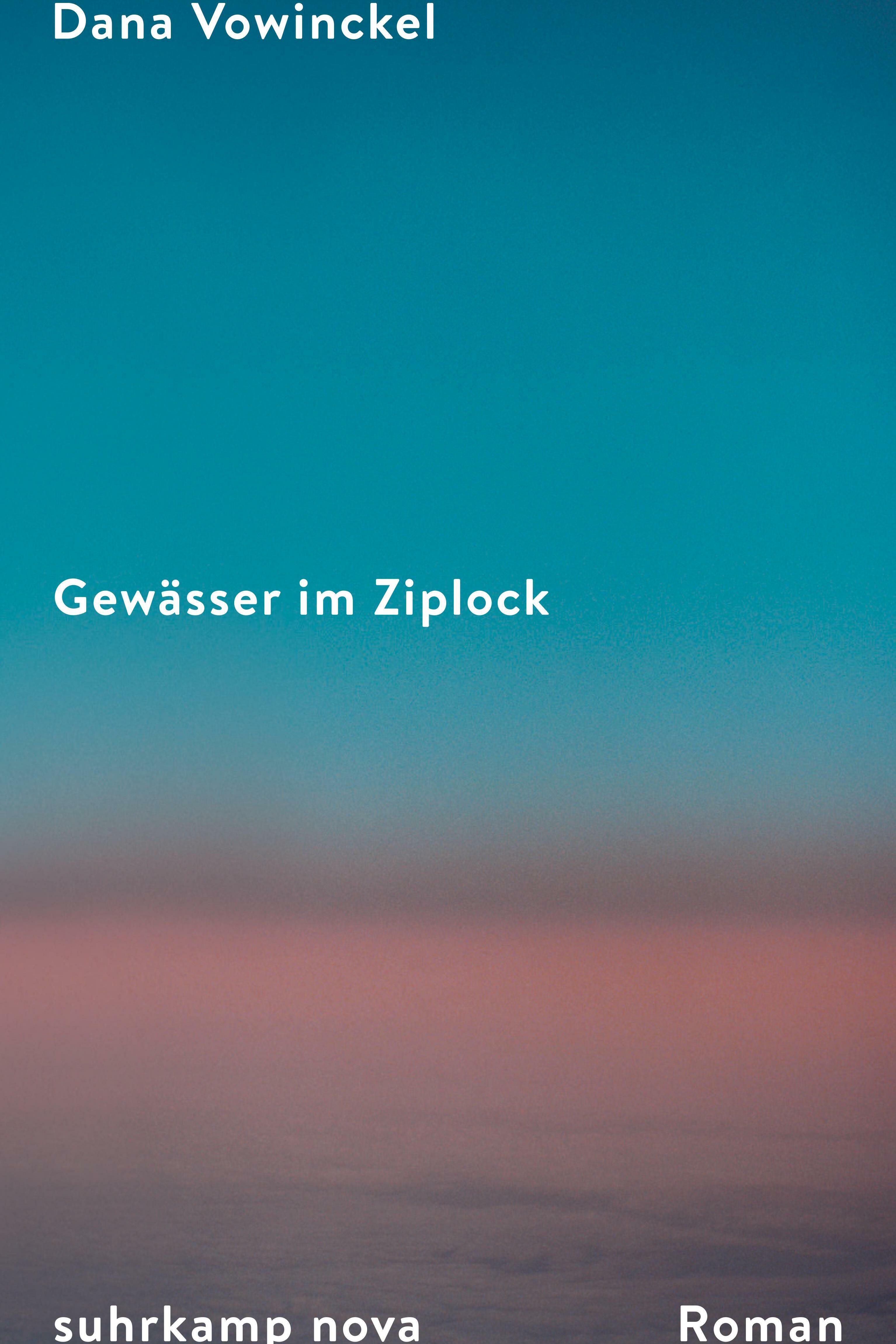 Gewässer im Ziplock, Dana Vowinckel. Suhrkamp Nova, Literatur, Roman