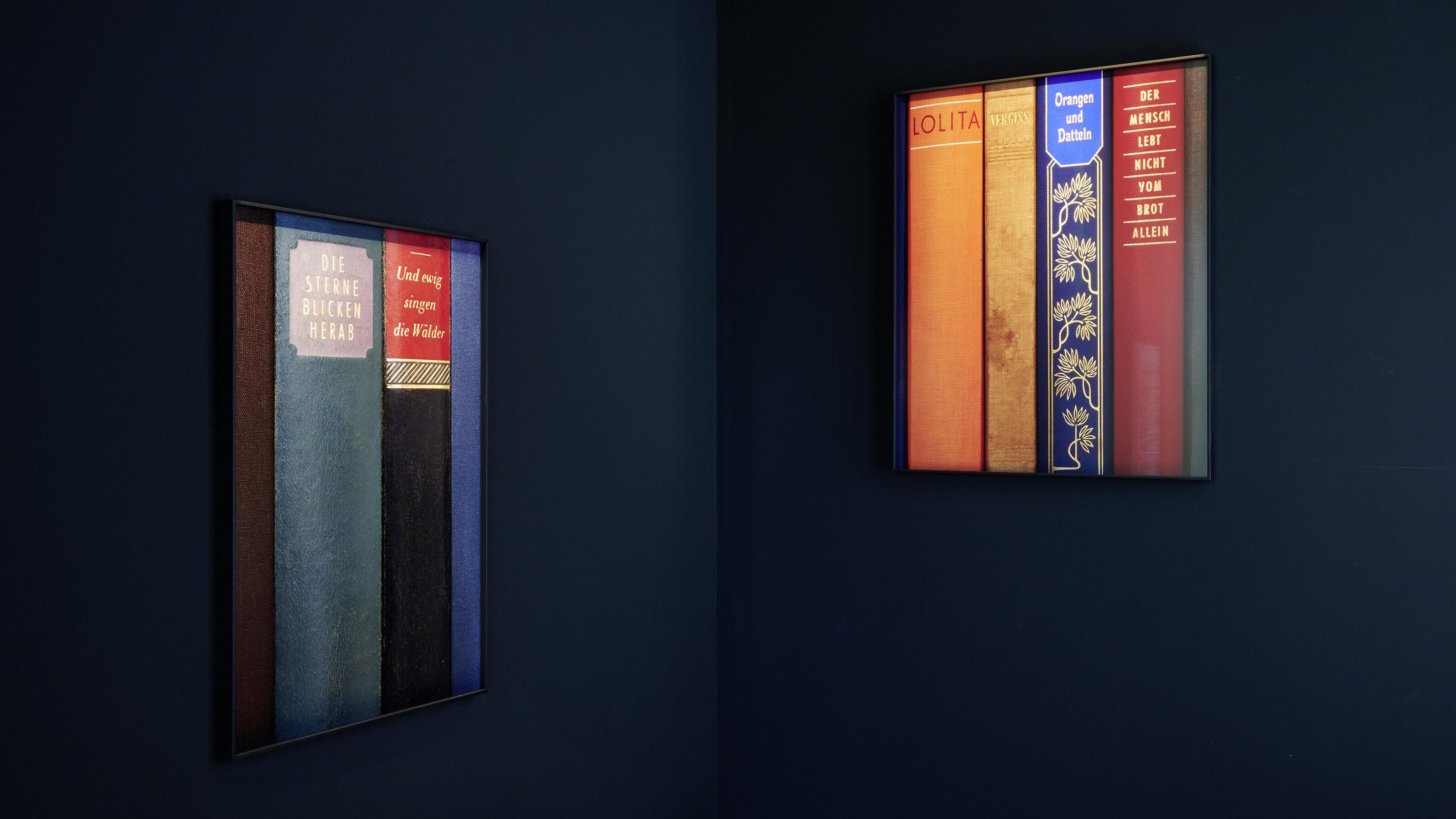 Alex Grein, ongoing, Ausstellung, Kunstausstellung, Brühl, Max Ernst Museum, Installationsansicht, Die Sterne blicken herab und ewig singen die Wälder, Lolita, vergiss Orangen und Datteln, der Mensch lebt nicht vom Brot allein, Galerie Gisela Clement, Mareike Tocha