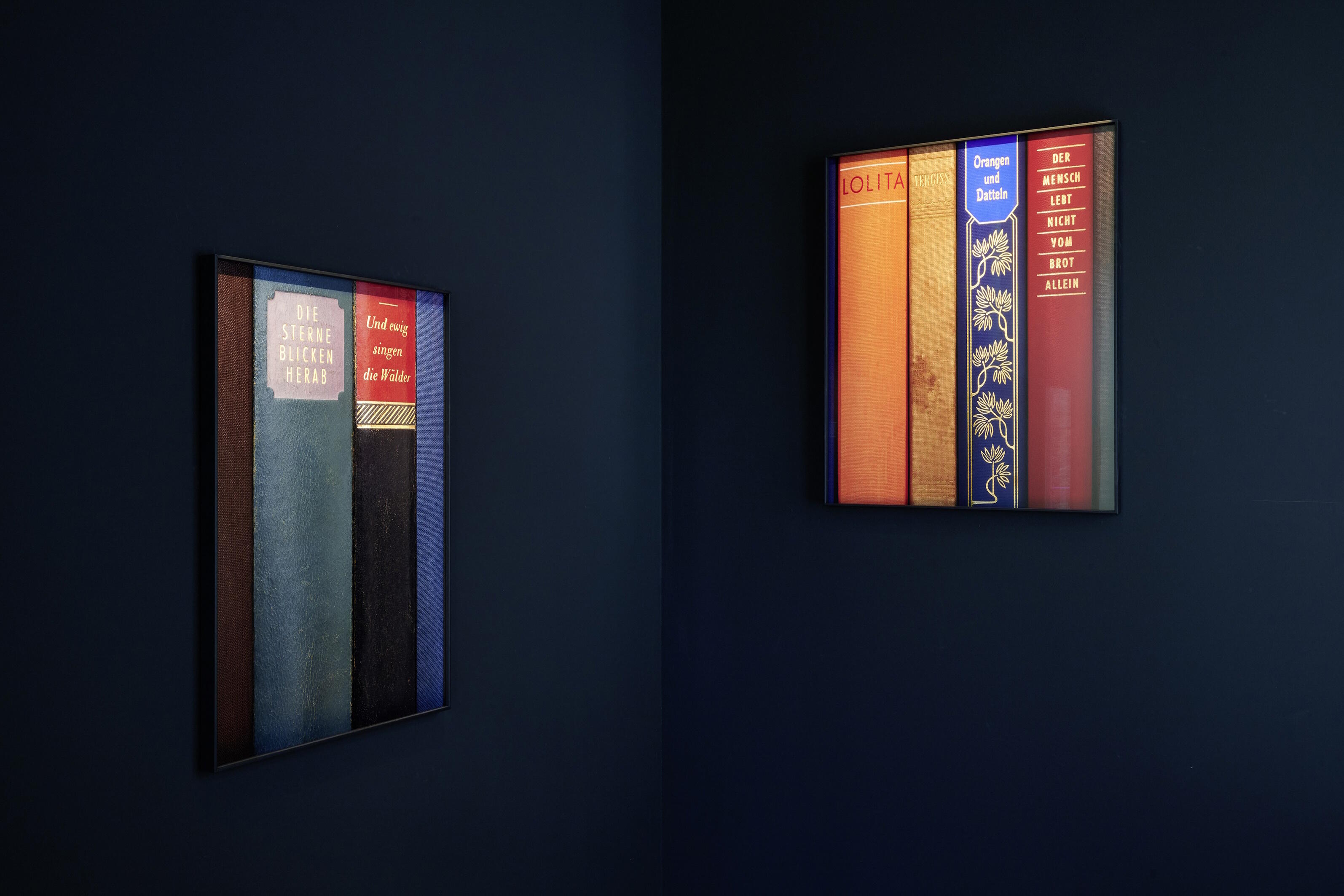 Alex Grein, ongoing, Ausstellung, Kunstausstellung, Brühl, Max Ernst Museum, Installationsansicht, Die Sterne blicken herab und ewig singen die Wälder, Lolita, vergiss Orangen und Datteln, der Mensch lebt nicht vom Brot allein, Galerie Gisela Clement, Mareike Tocha