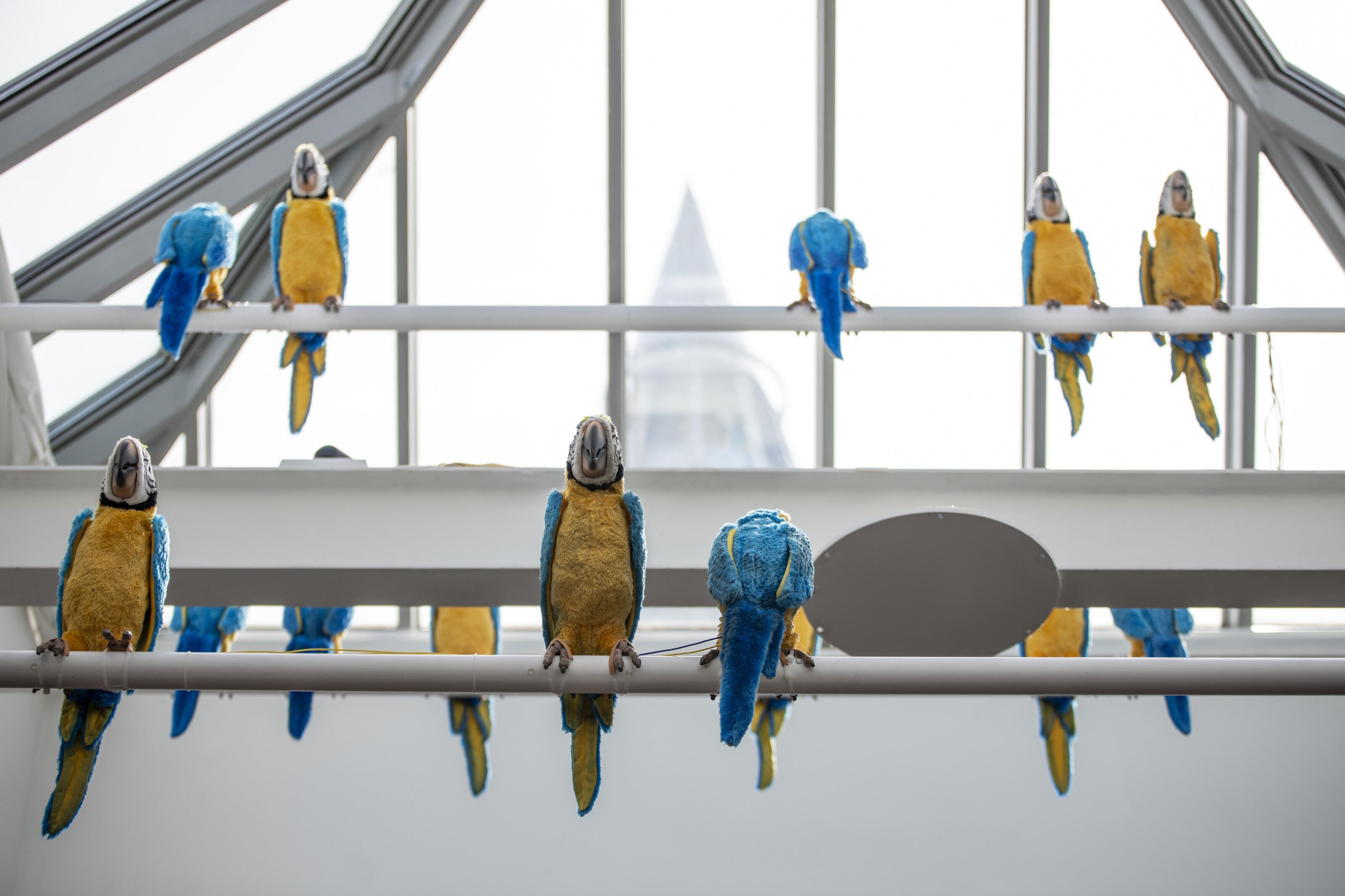 Interactions 2026, Ausstellung, Kunstausstellung, Bonn, Bundeskunsthalle, Sarah Larissa Heuser, Gerrit Frohne Brinkmann Dirty Parrots