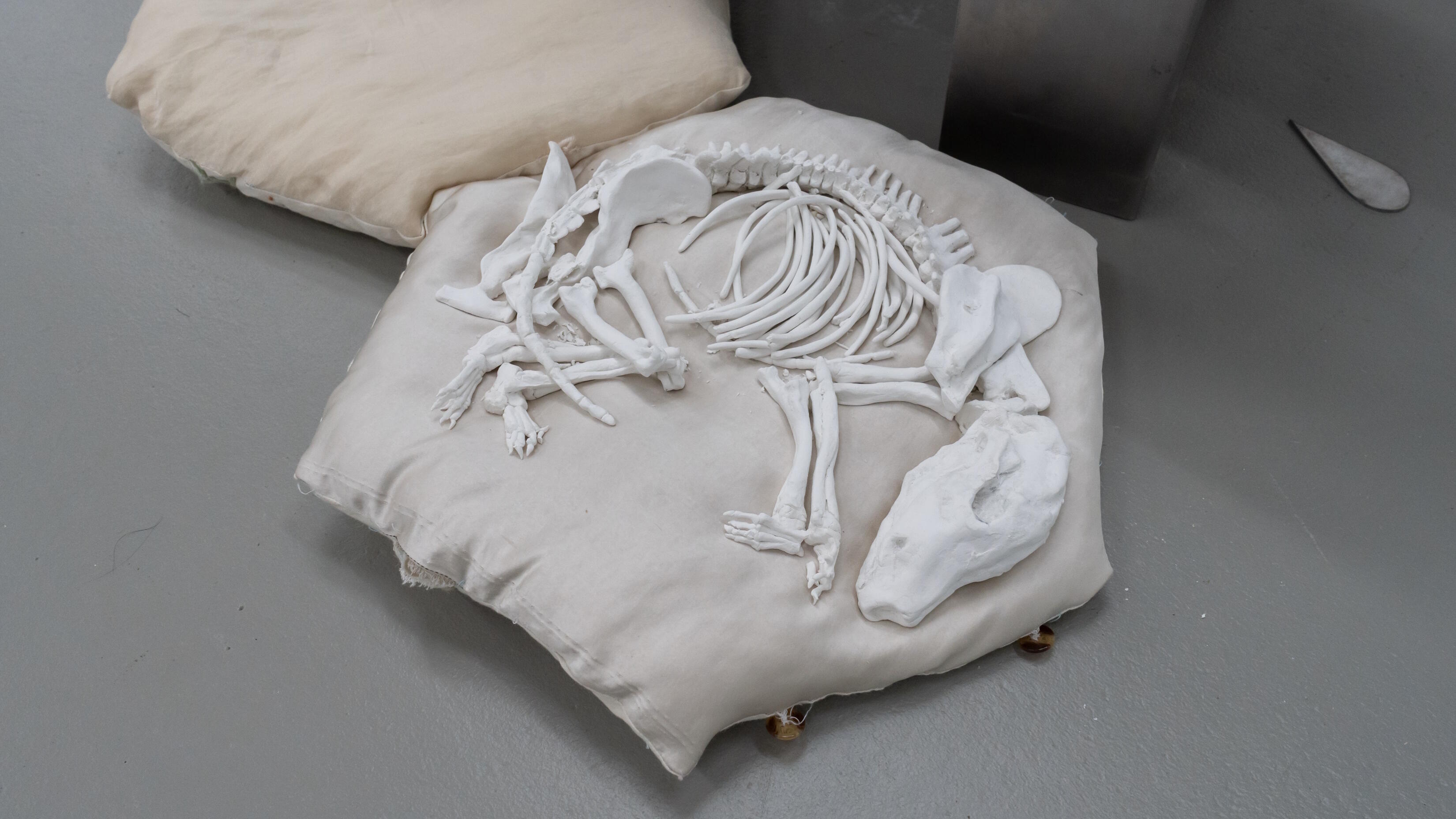 41. Förderpreisausstellung der Freunde der Kunstakademie Münster, Ausstellung, Kunstausstellung, Münster, Kunsthalle Münster, Suyeon Prana Kim, Nachkommen von Sternenasche, Installation, Hyesung Ryu