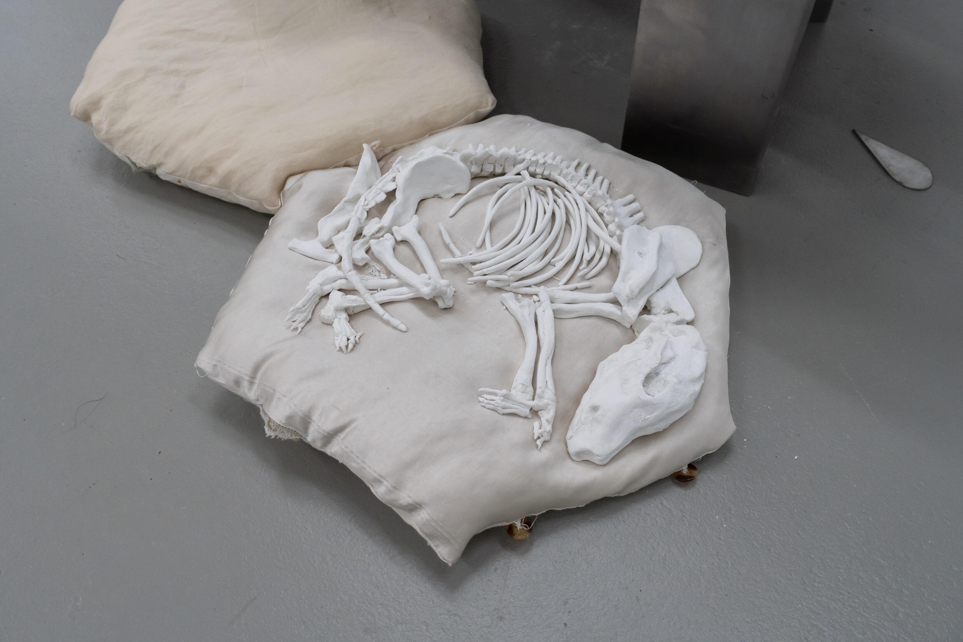 41. Förderpreisausstellung der Freunde der Kunstakademie Münster, Ausstellung, Kunstausstellung, Münster, Kunsthalle Münster, Suyeon Prana Kim, Nachkommen von Sternenasche, Installation, Hyesung Ryu