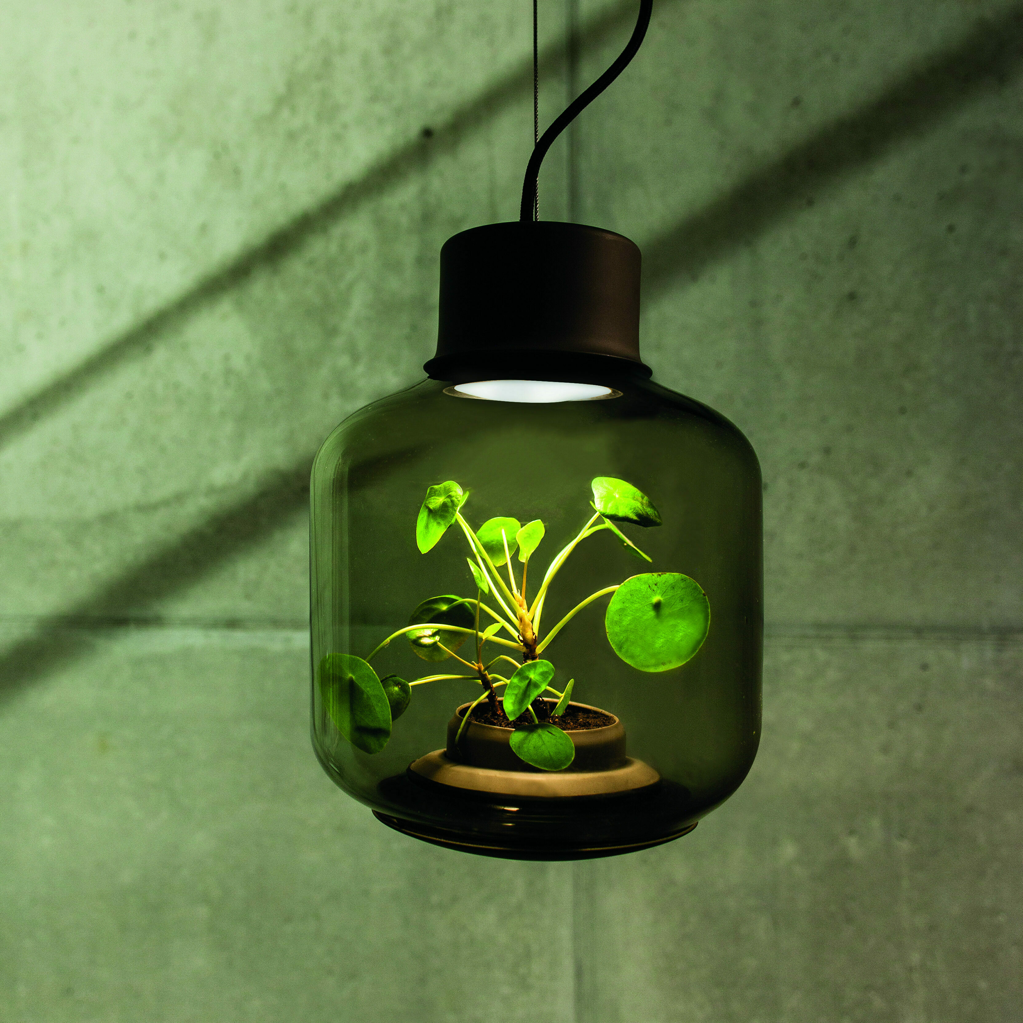 mygdal lamp nui studio lampe pflanzengefaess design inneneinrichtung einrichtungsidee