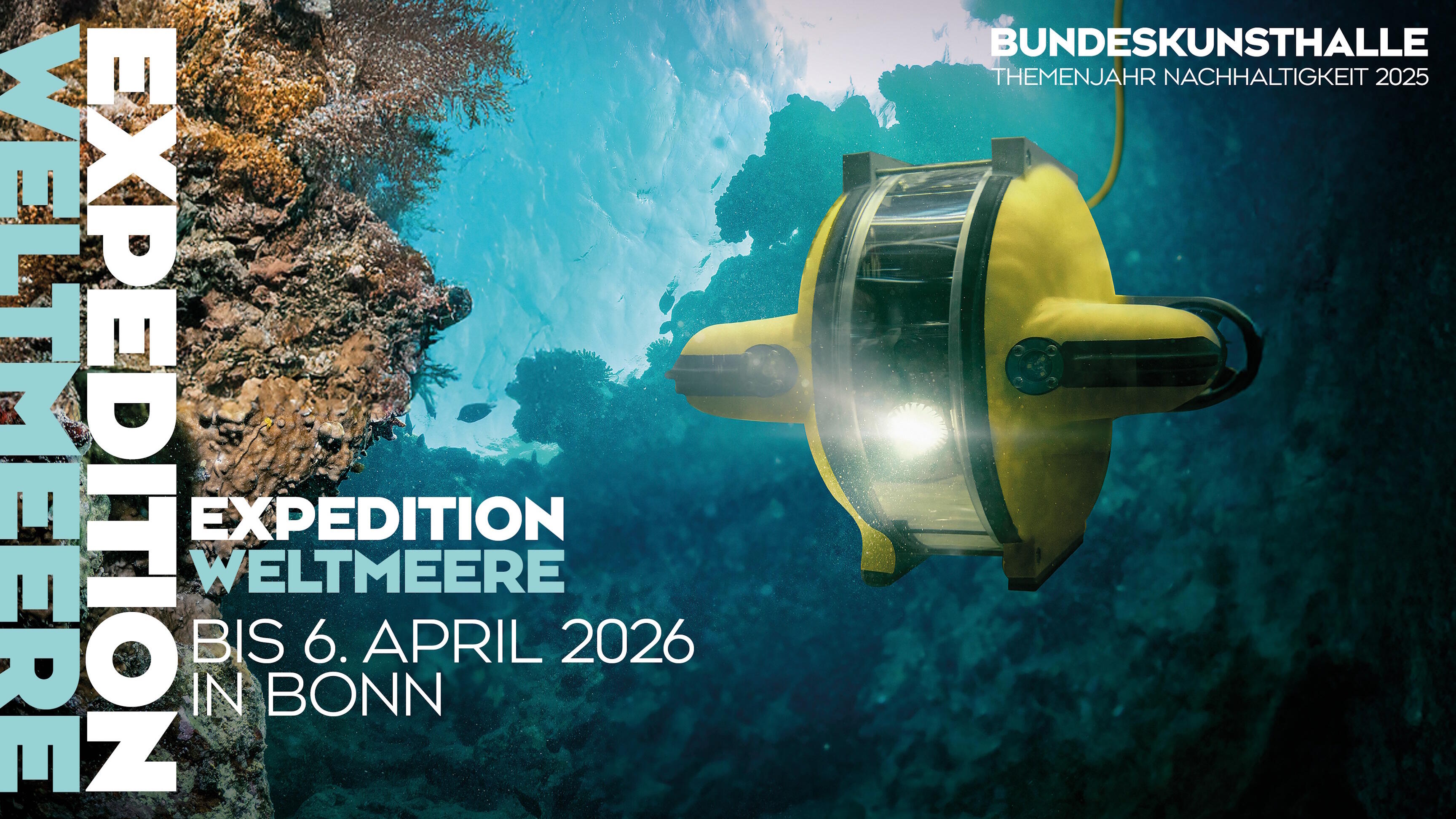 Bundeskunsthalle, Expedition Weltmeere, Kunstausstellung, Ausstellung, Bonn