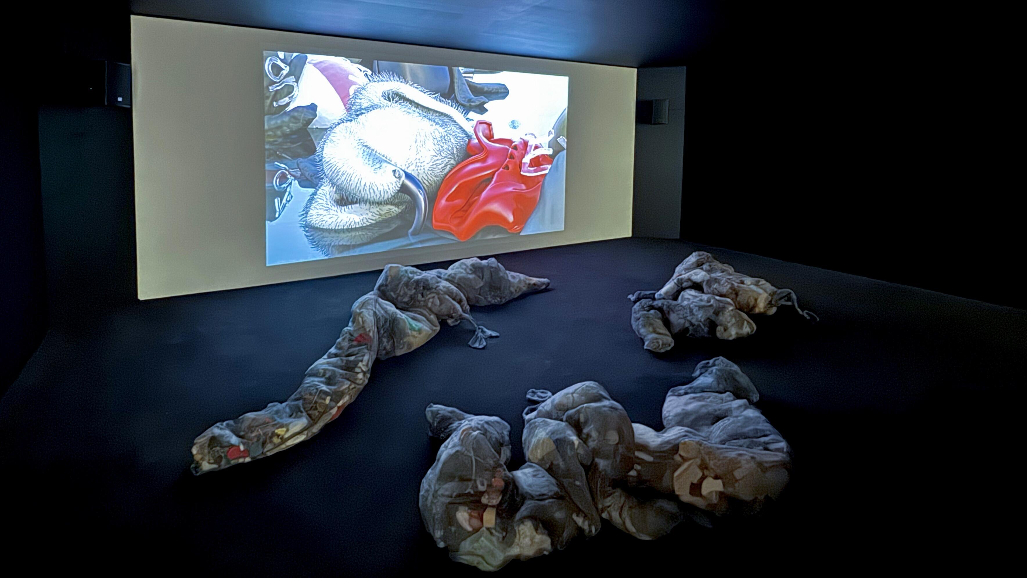 Ins Offene! Multispezies Erzählungen, Ausstellung, Kunstausstellung, Leverkusen, Museum Morsbroich, KHM Köln - Kunsthochschule für Medien Köln, Blanca Barbat, THE BODY AS A THRESHOLD, Installationsansicht