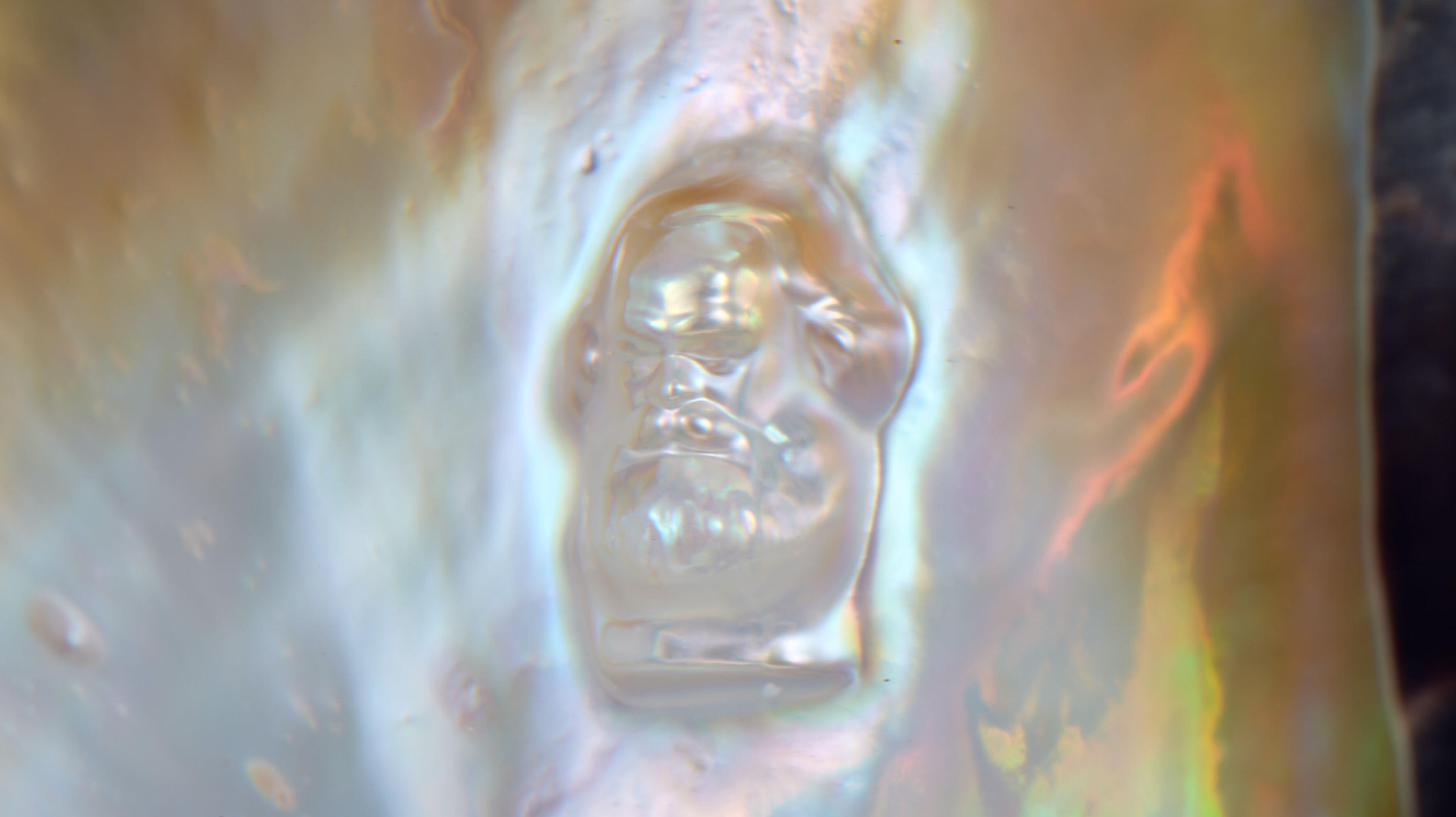 Aki Inomata, Mit-Werden, Ausstellung, Kunstausstellung, Bonn, Kunstmuseum Bonn, Memory of Currency Karl Marx, Hayato Wakabayashi