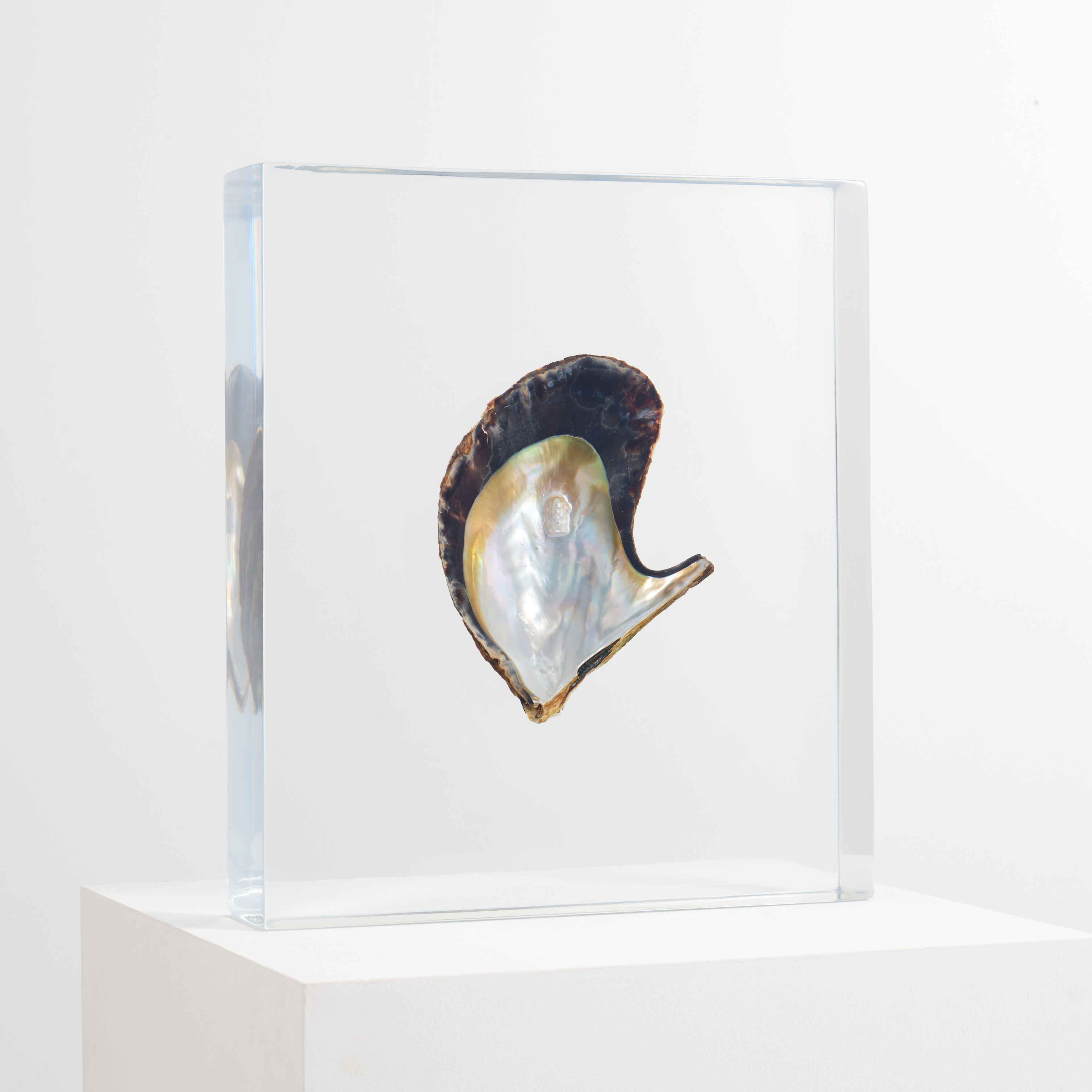 Aki Inomata, Mit-Werden, Ausstellung, Kunstausstellung, Bonn, Kunstmuseum Bonn, Memory of Currency Karl Marx, Hayato Wakabayashi