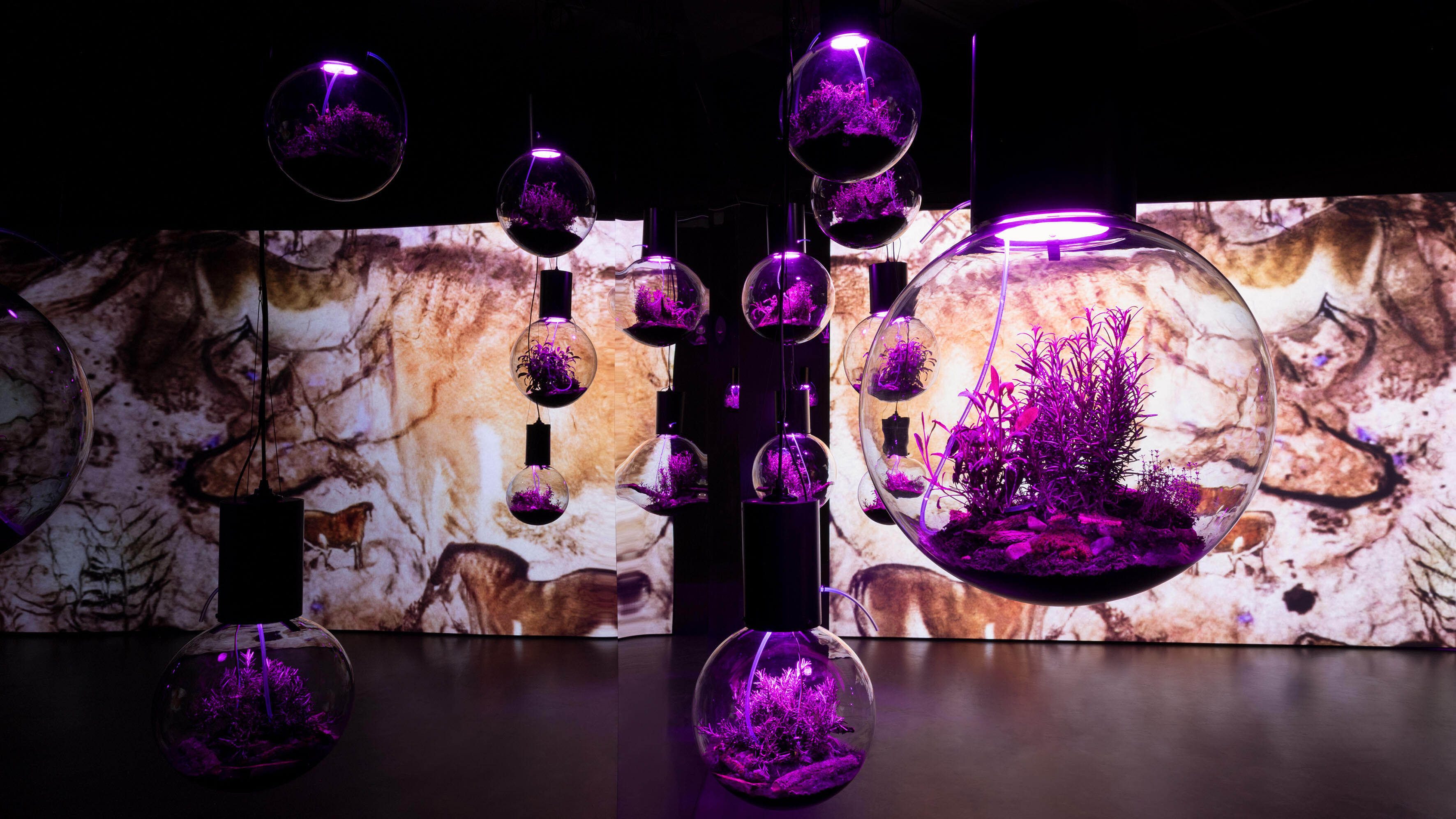 Zoom in, Hito Steyerl, Animal Spirits, Ausstellung, Kunstausstellung, Bonn, Kunstmuseum Bonn, Installationsansicht, Esther Schipper, Andrea Rossetti