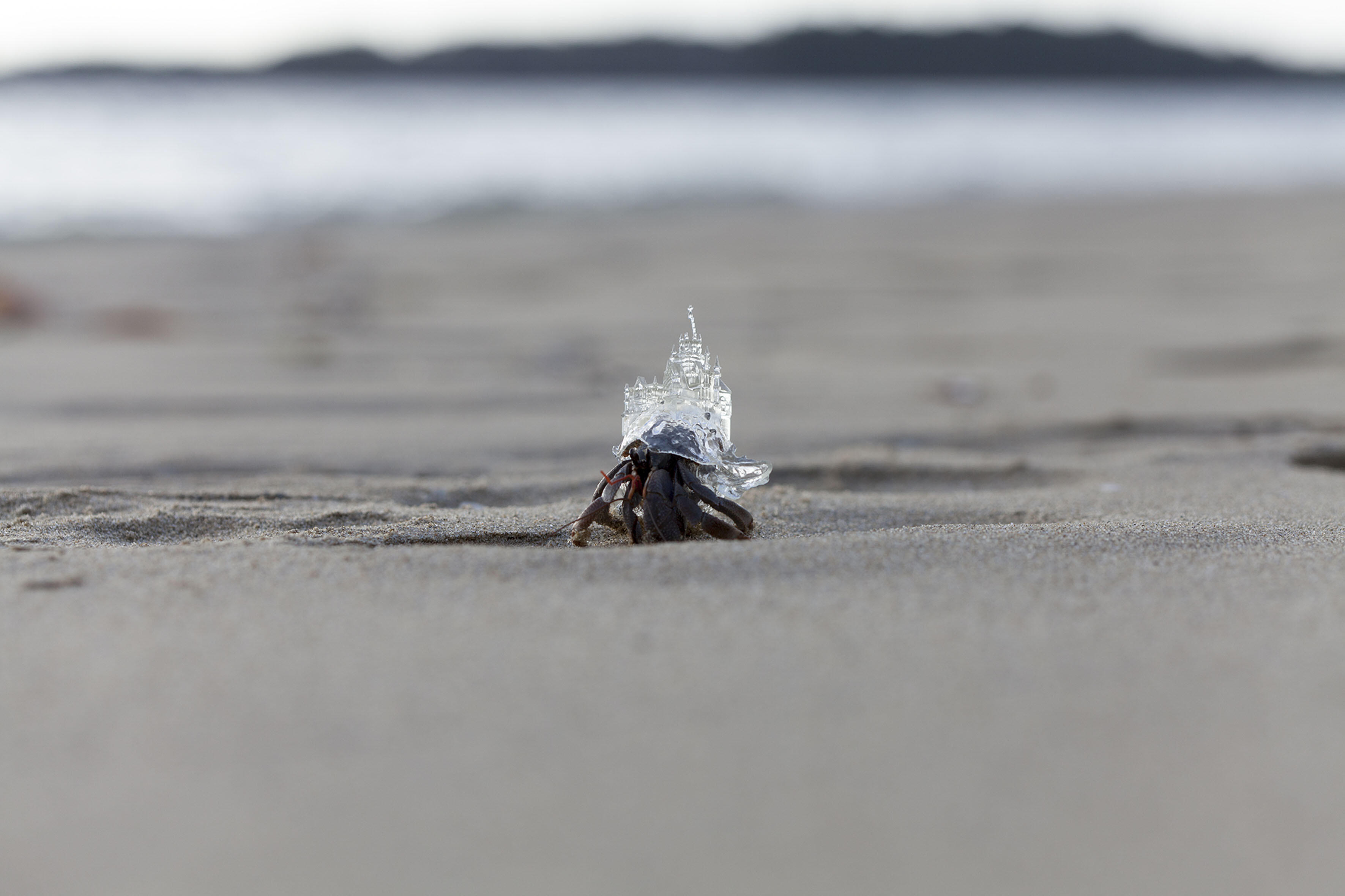 Aki Inomata, Mit-Werden, Ausstellung, Kunstausstellung, Bonn, Kunstmuseum Bonn, Why not hand over a shelter to hermit crabs