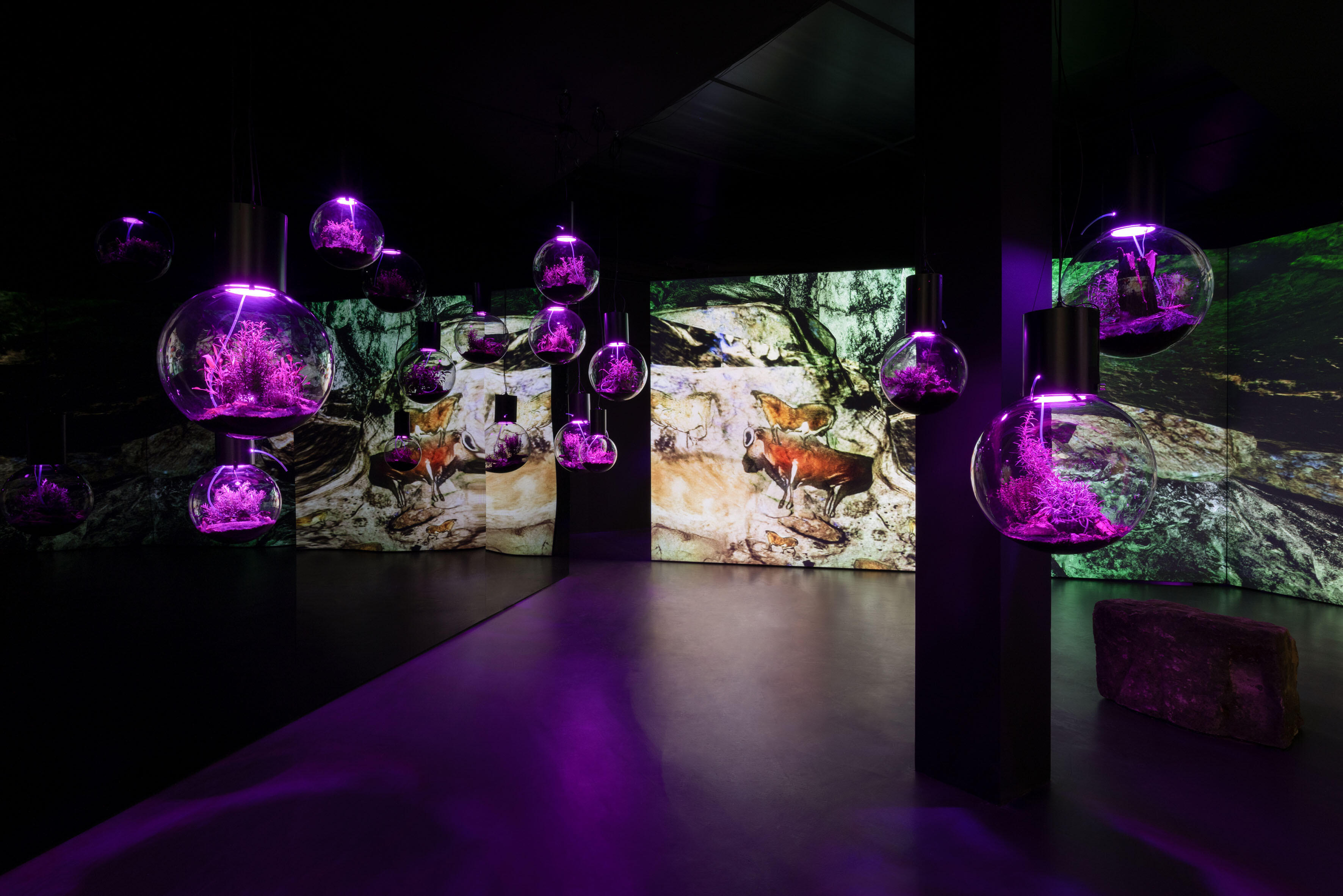 Zoom in, Hito Steyerl, Animal Spirits, Ausstellung, Kunstausstellung, Bonn, Kunstmuseum Bonn, Installationsansicht, Esther Schipper, Andrea Rossetti