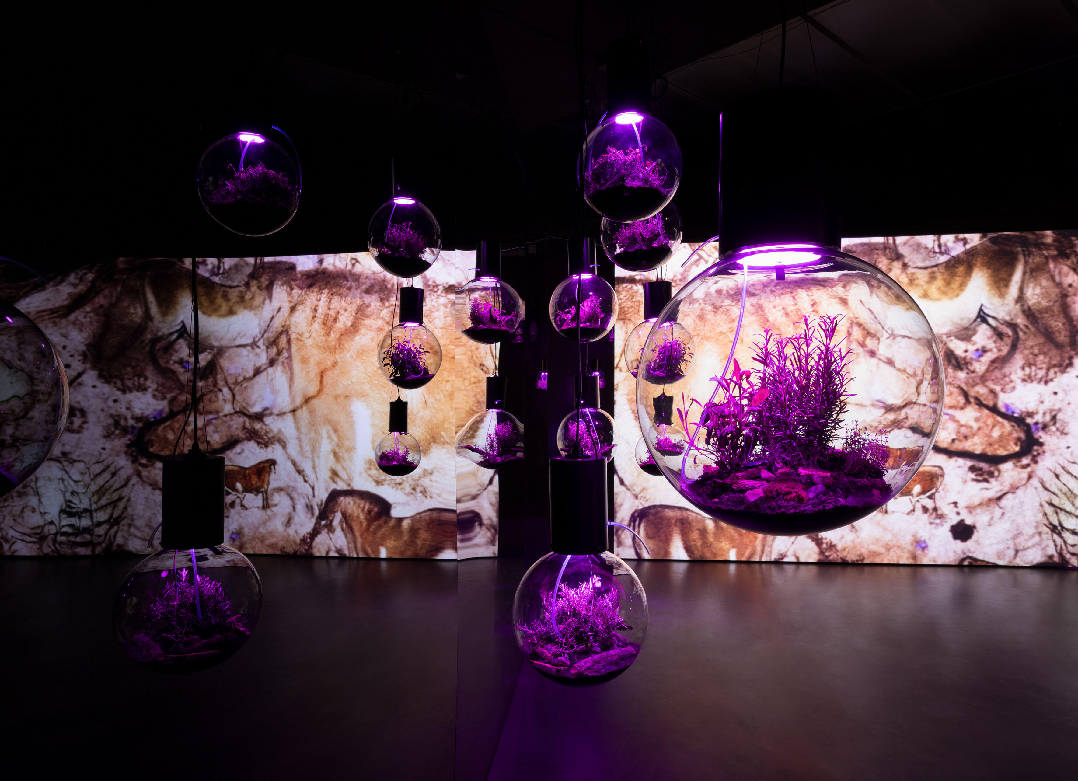 Zoom in, Hito Steyerl, Animal Spirits, Ausstellung, Kunstausstellung, Bonn, Kunstmuseum Bonn, Installationsansicht, Esther Schipper, Andrea Rossetti