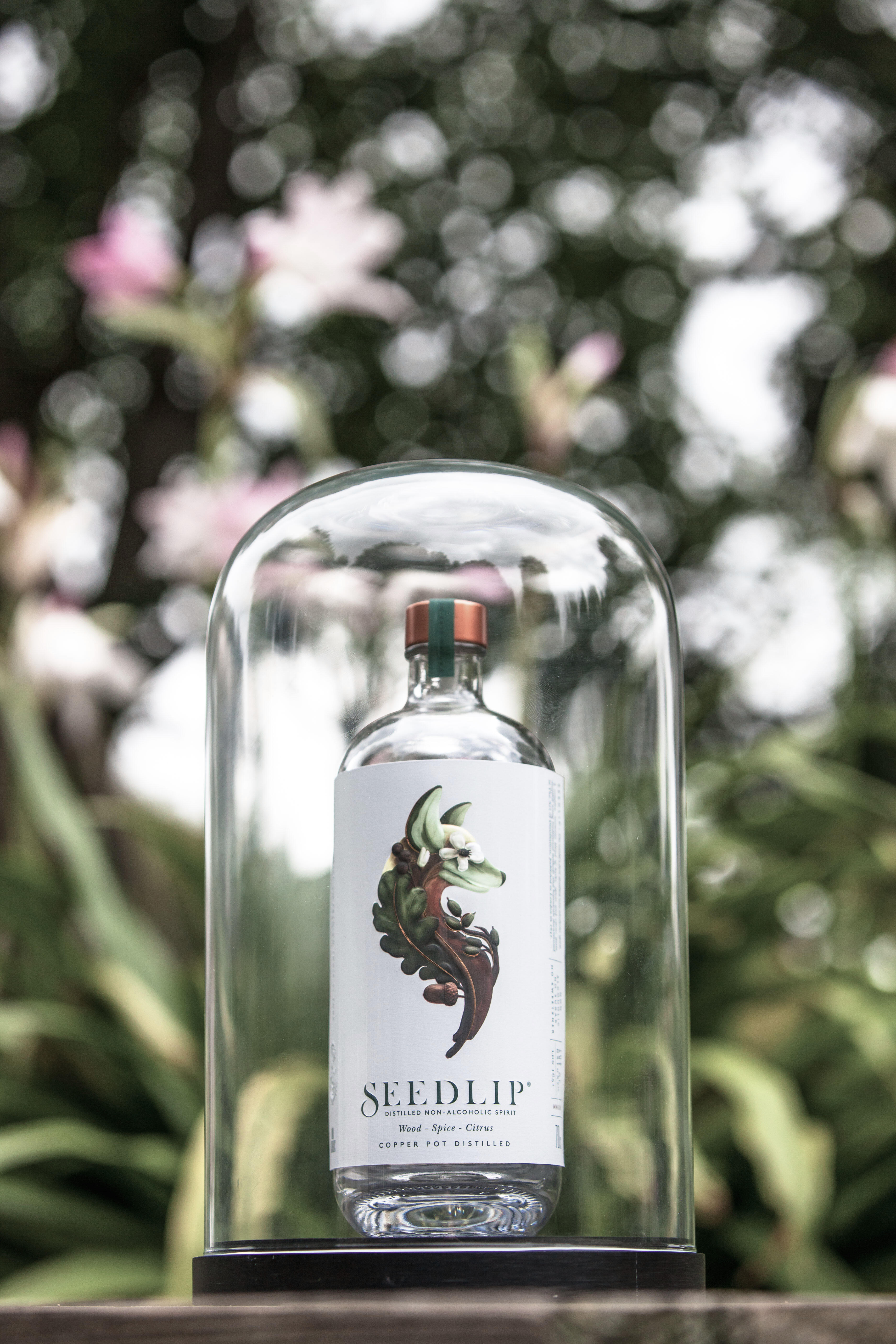 seedlip ben branson alkoholfreies destillat minze rosmarin thymian graeser fruechte