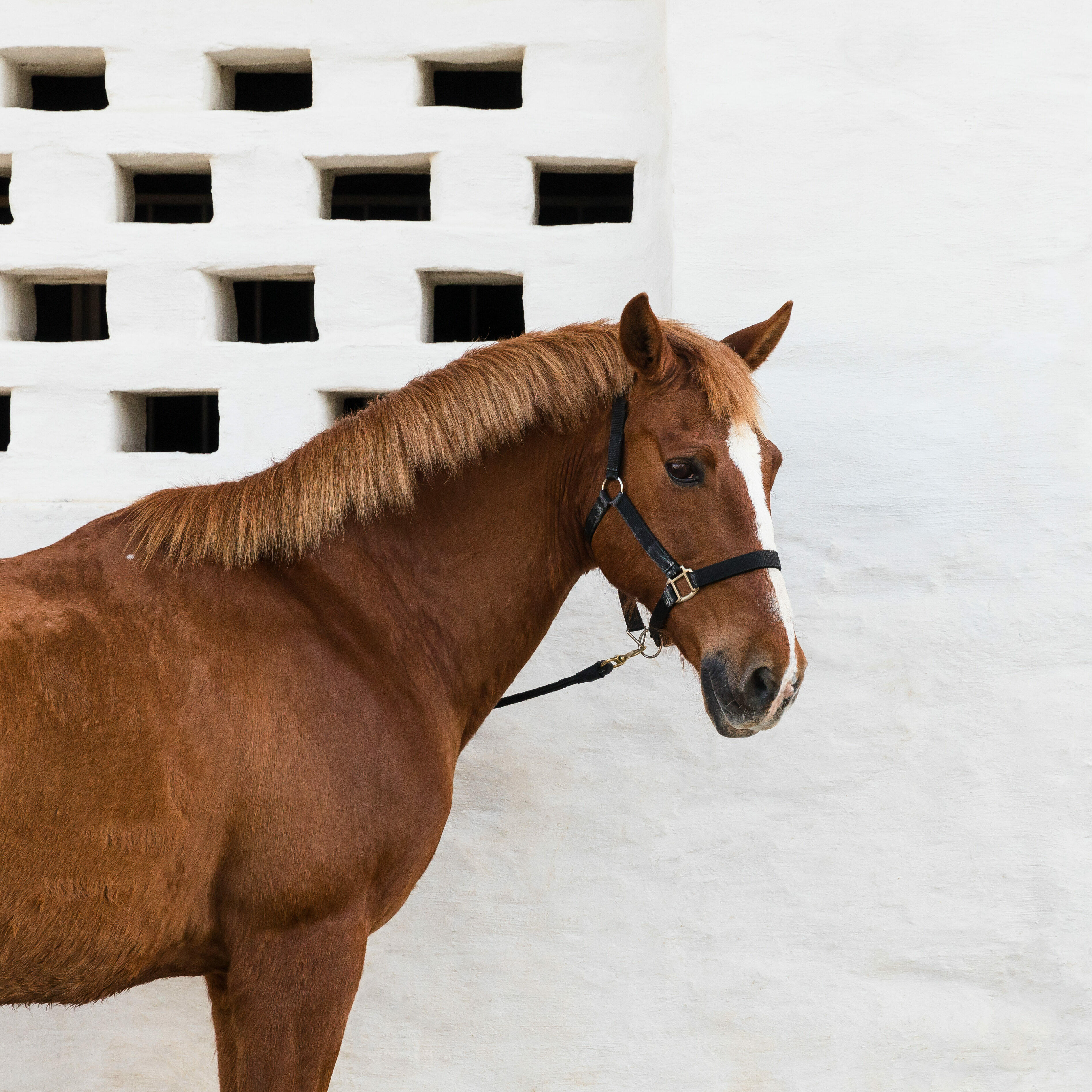 são lourenço do barrocal design boutique hotel monsaraz portugal