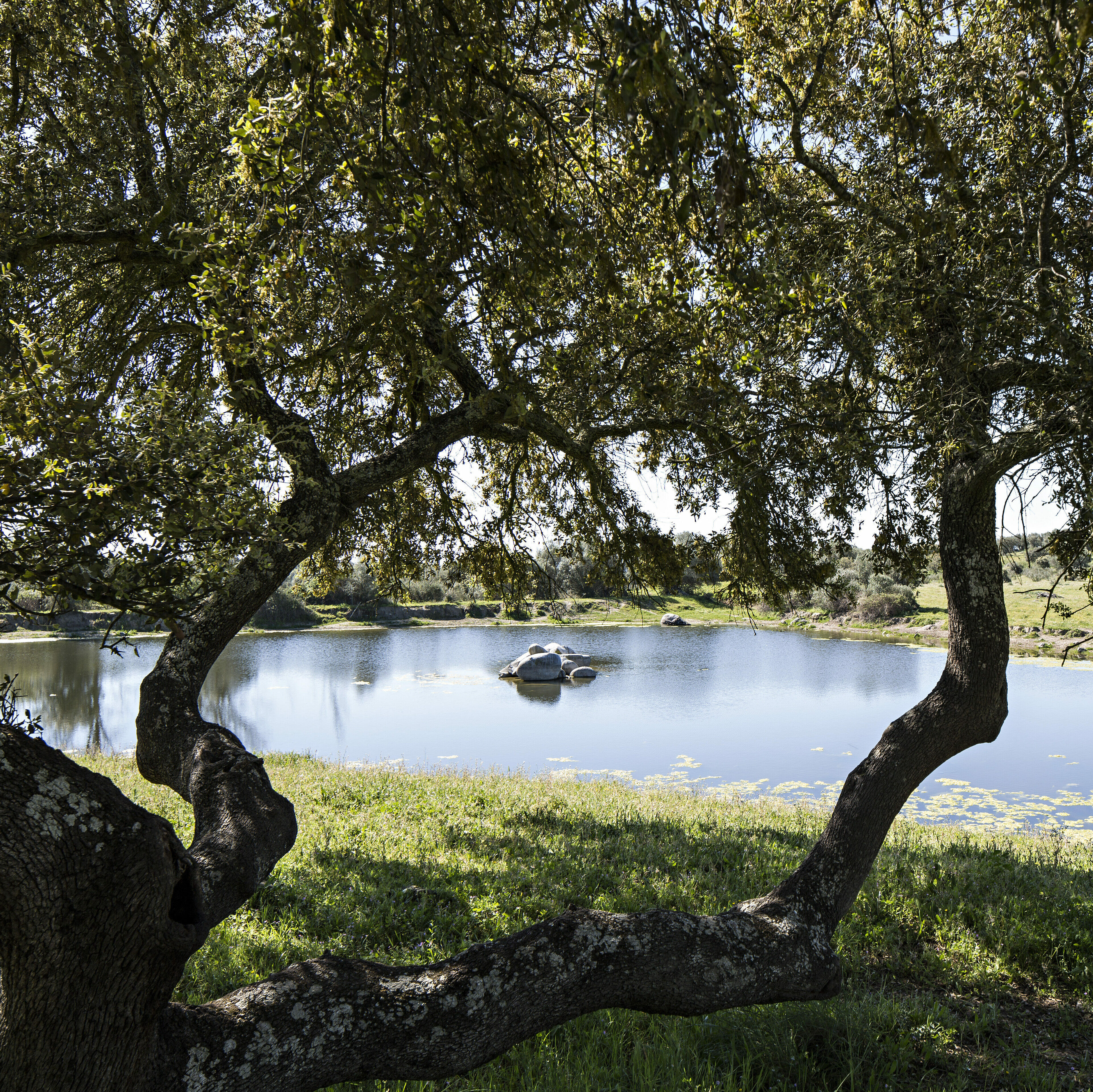 tsão lourenço do barrocal design boutique hotel monsaraz portugal